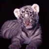 user avatar image for Scott Fisher