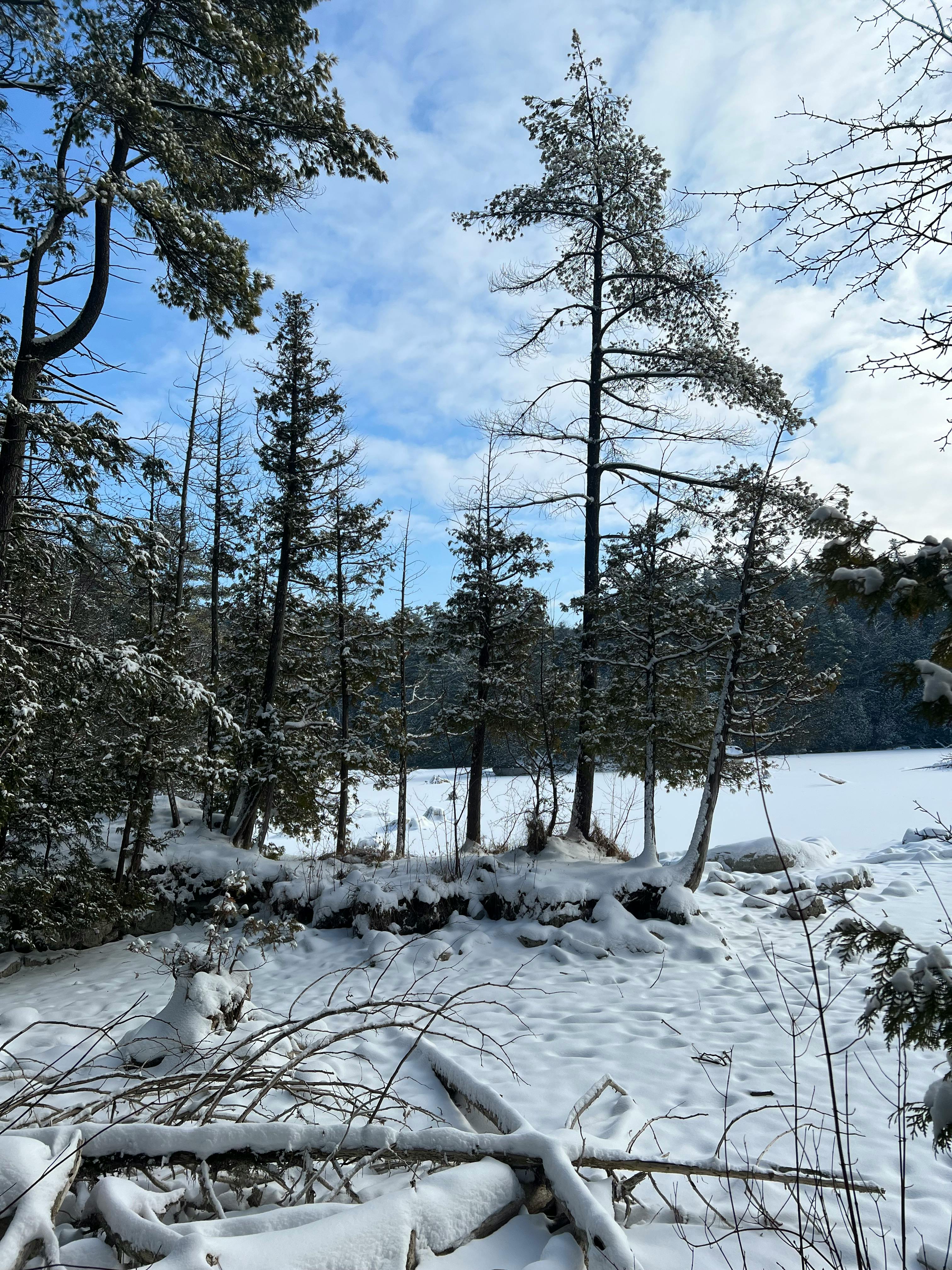 user avatar image for Azure