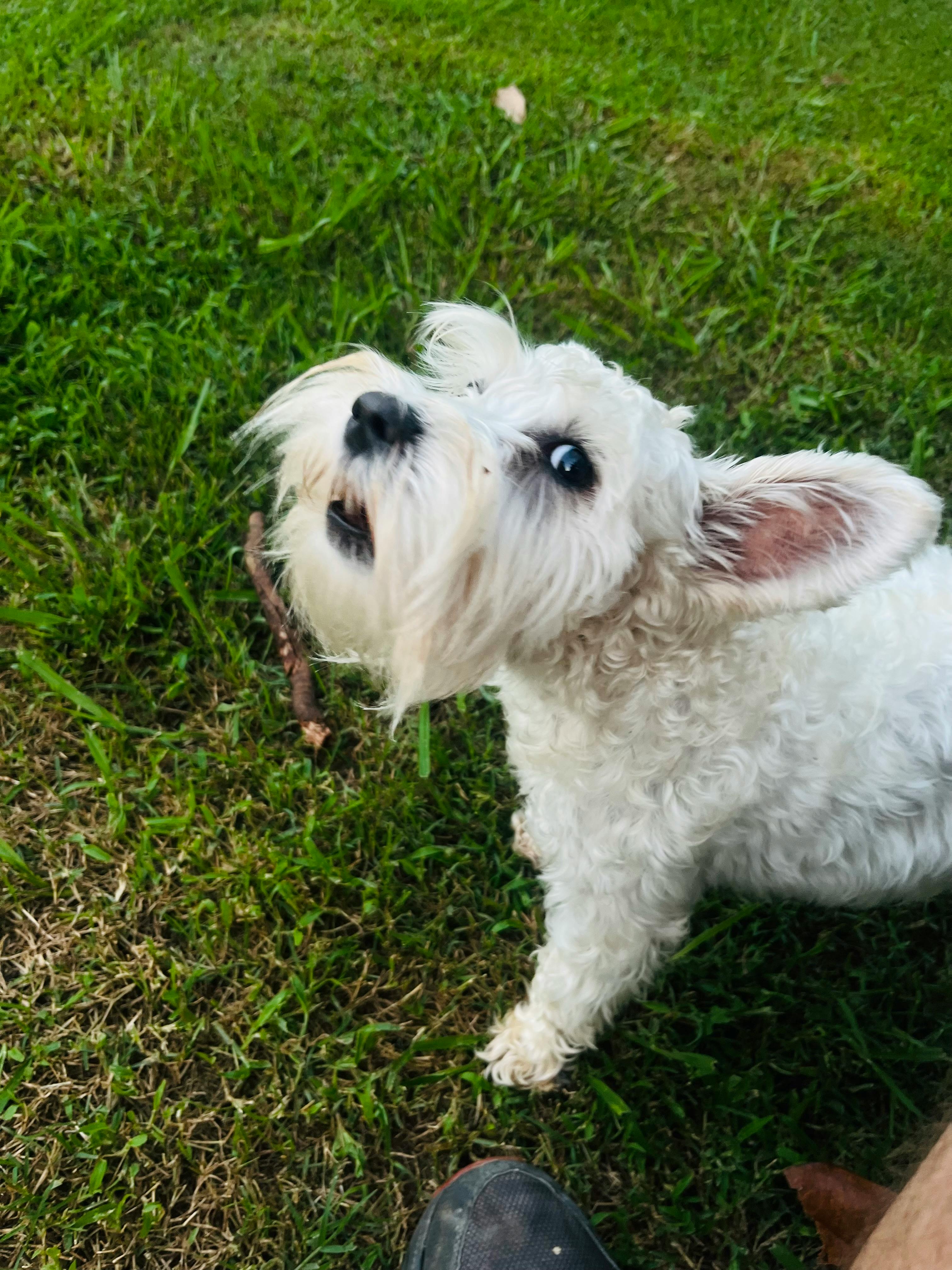 user avatar image for Mike