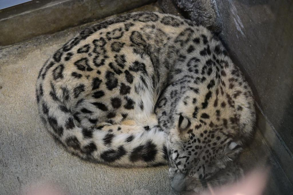 user avatar image for Haruka Shou