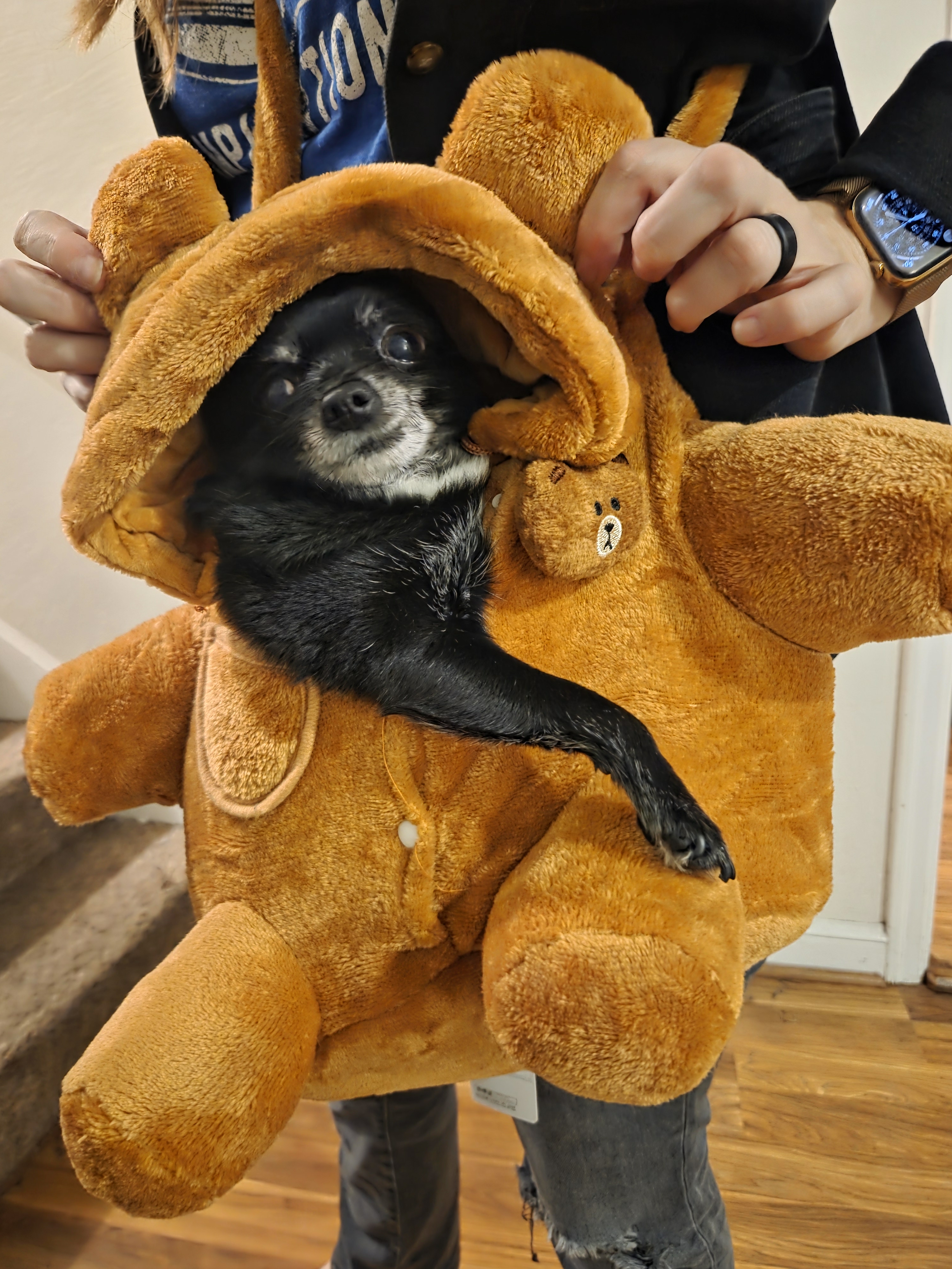 user avatar image for Nyssa R. Ton