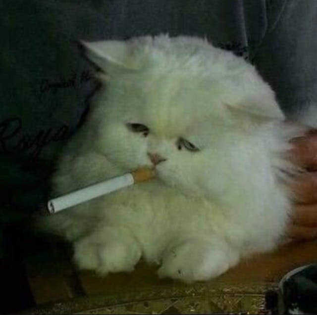 user avatar image for Augustine Dugan