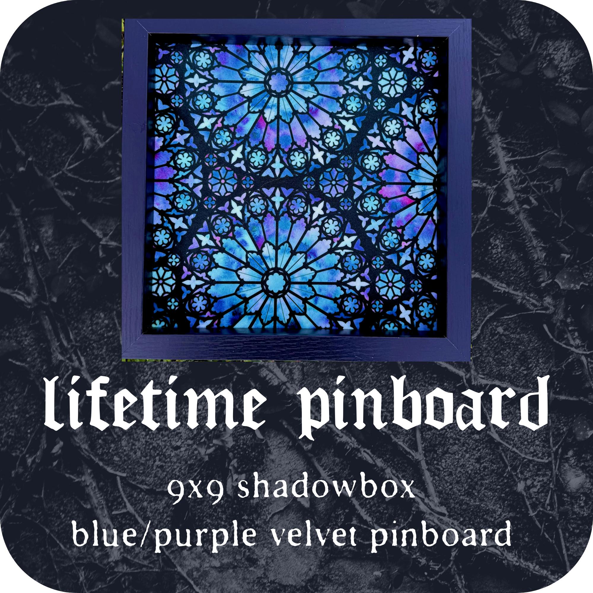 lifetime shadowbox blue/purple pinboard
