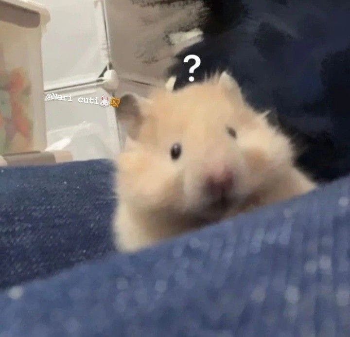 user avatar image for Paola Mejia