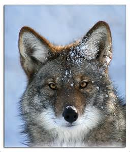 user avatar image for George S.