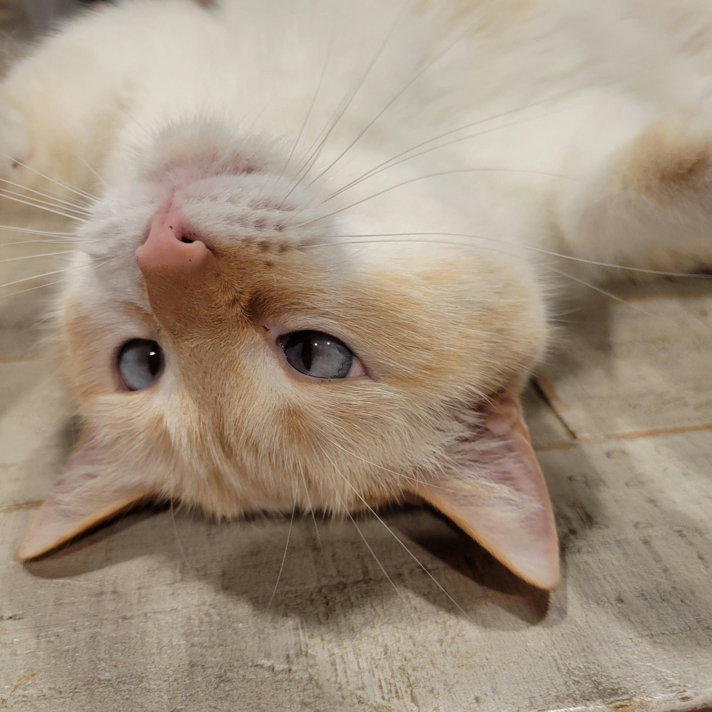 user avatar image for Casey