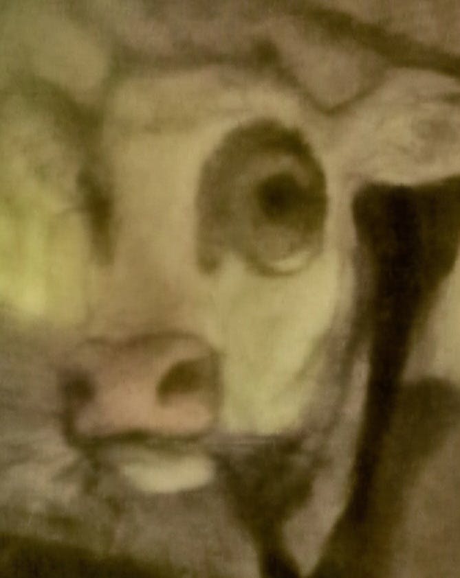 user avatar image for Kris B.