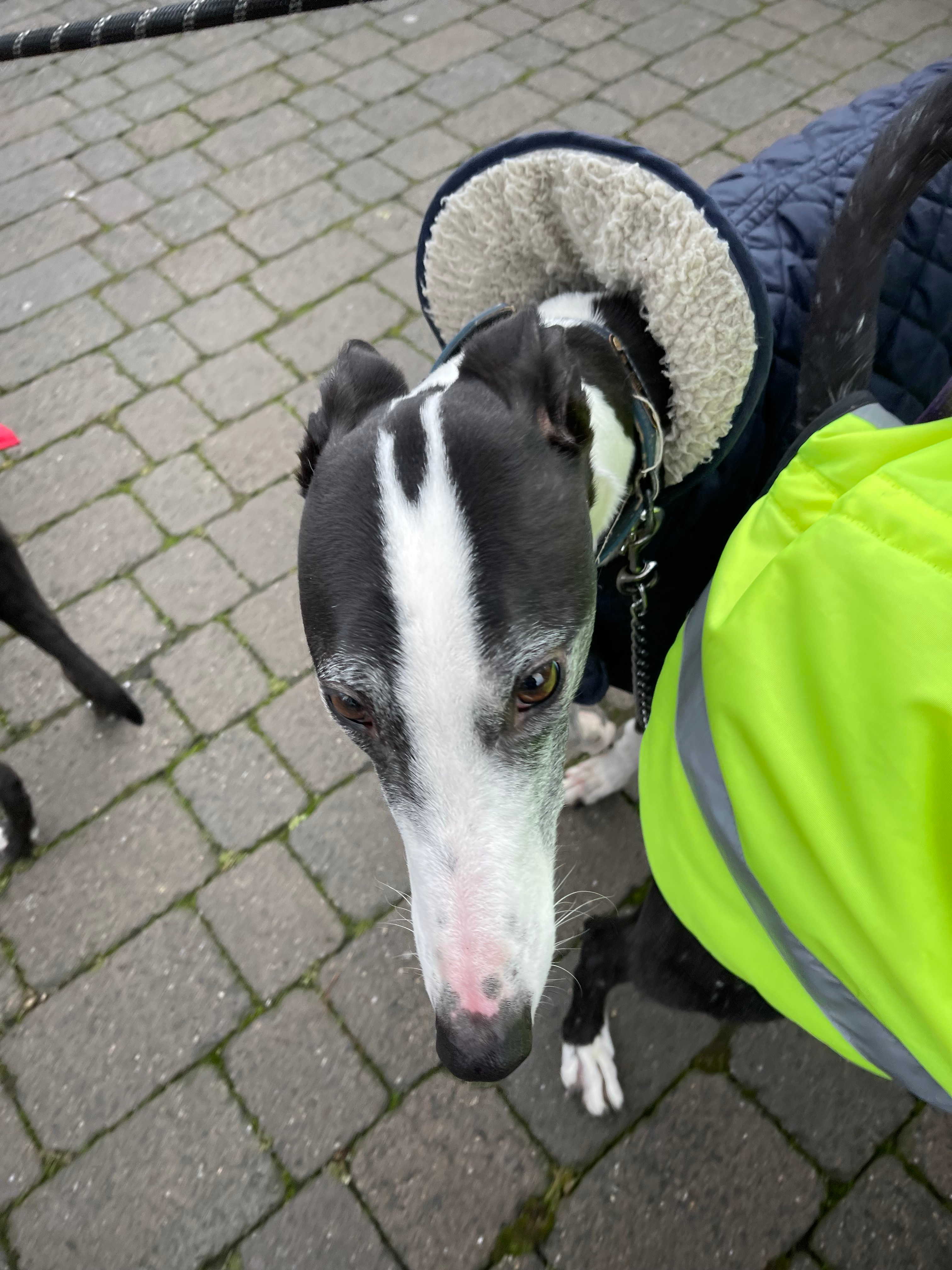 user avatar image for Duncan Allcoat