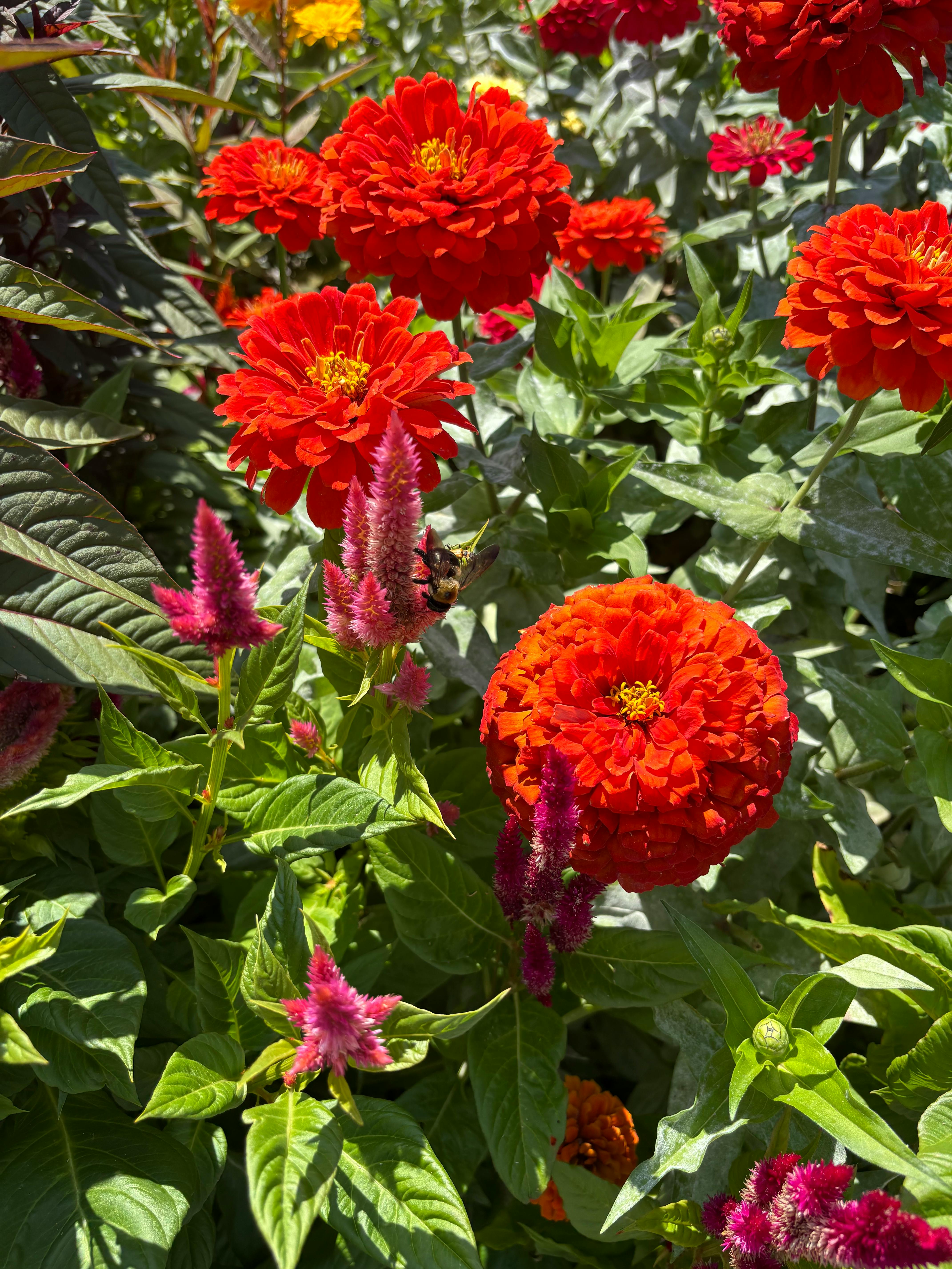 user avatar image for Madison