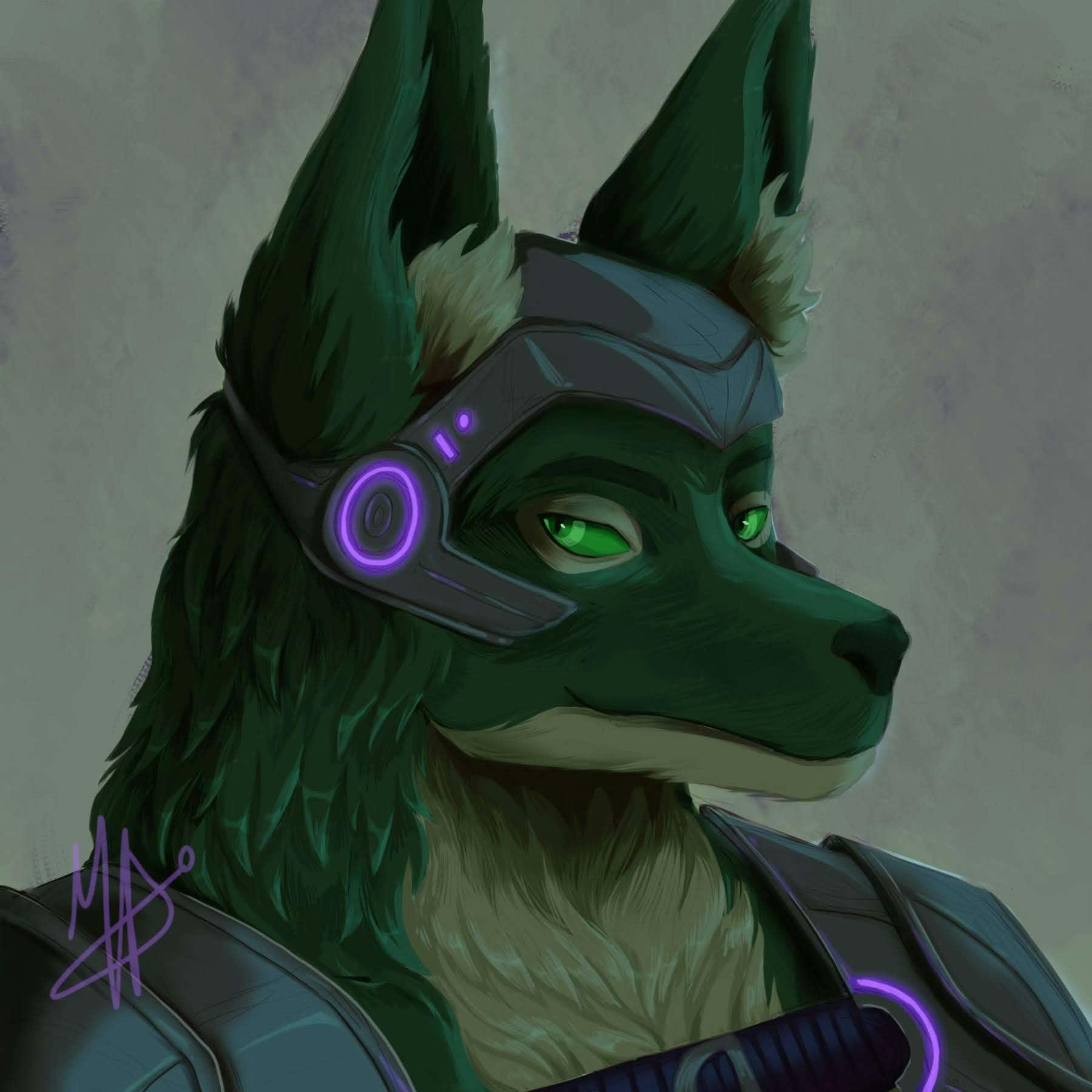 user avatar image for noxe_jkl