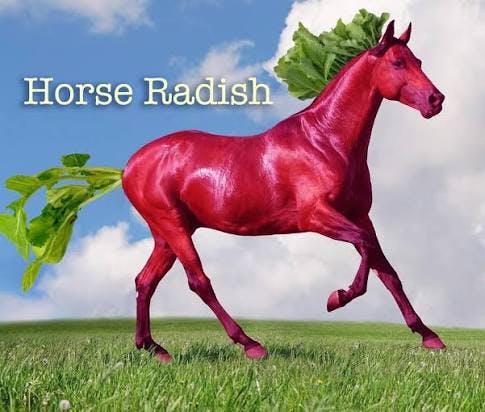 user avatar image for Max