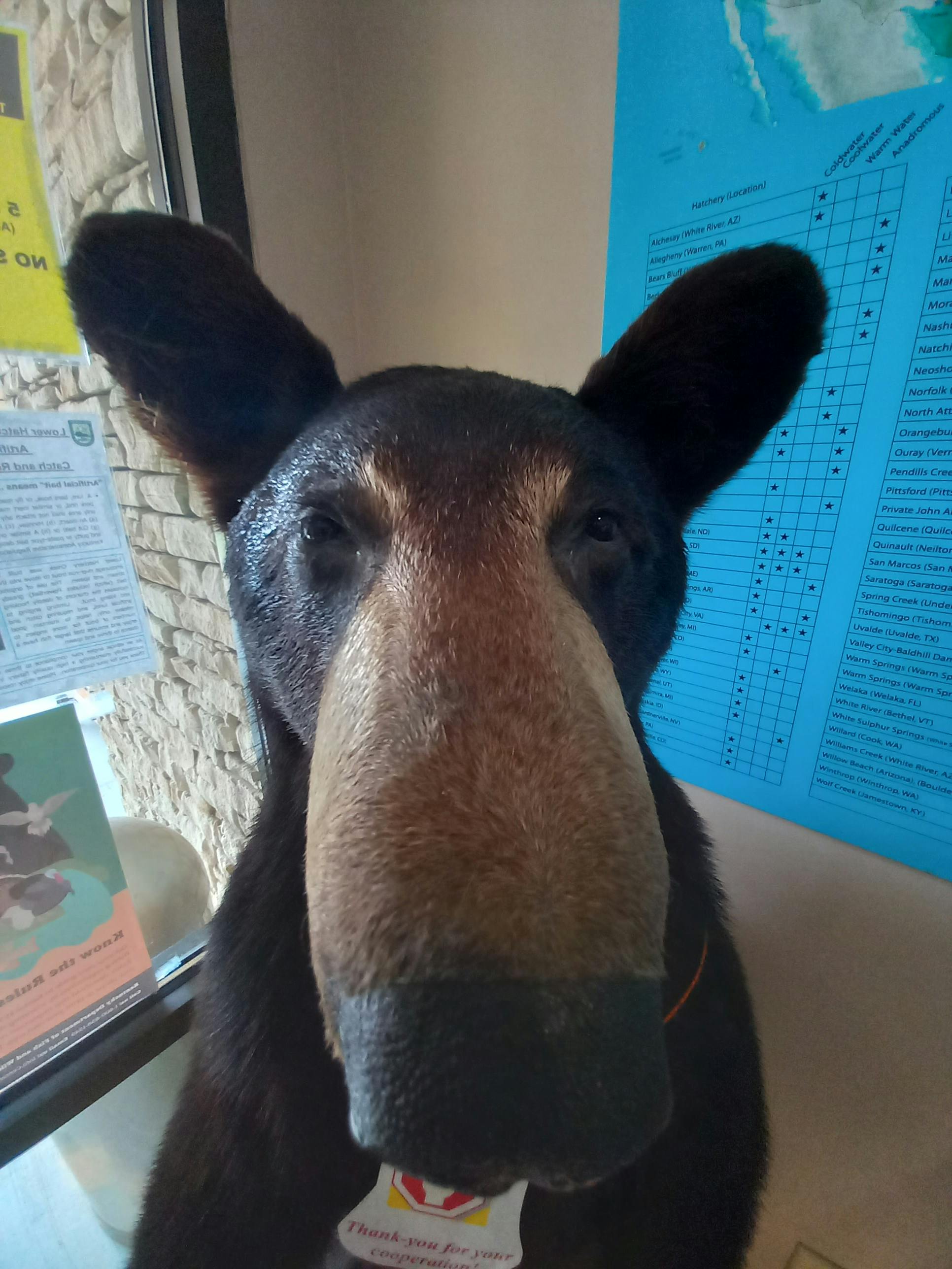 user avatar image for HuhWuh