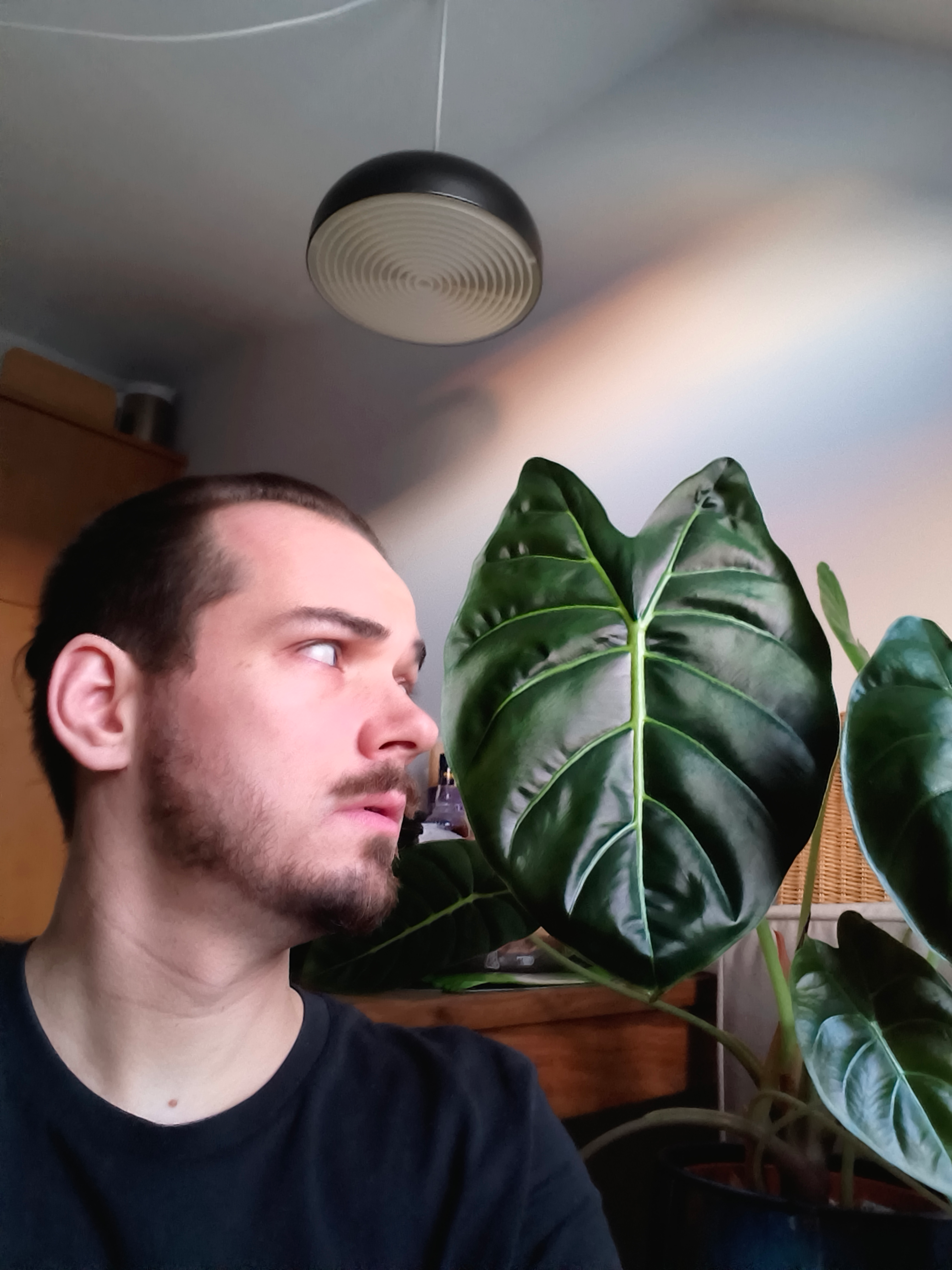 user avatar image for Ruben Van Hoyweghen