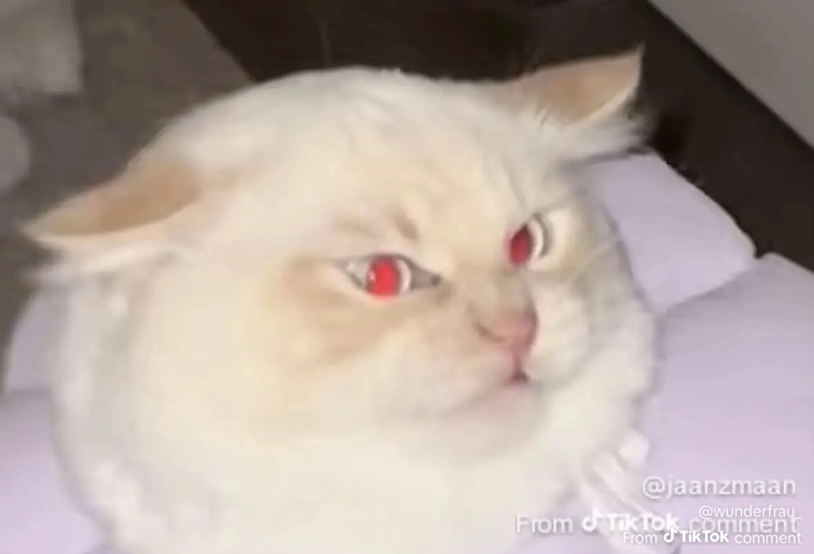 user avatar image for HellHoney__