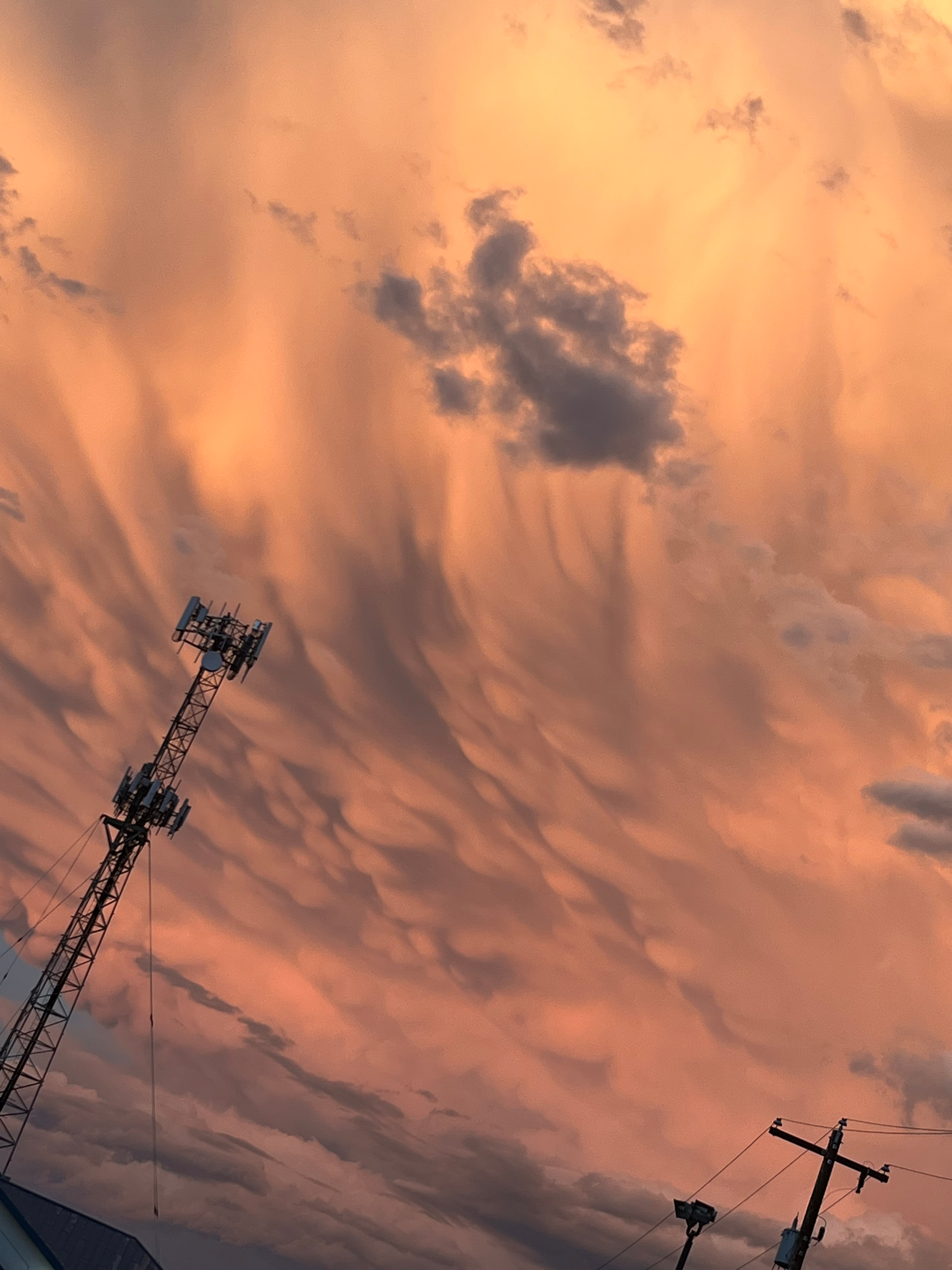 user avatar image for werewolfwonders