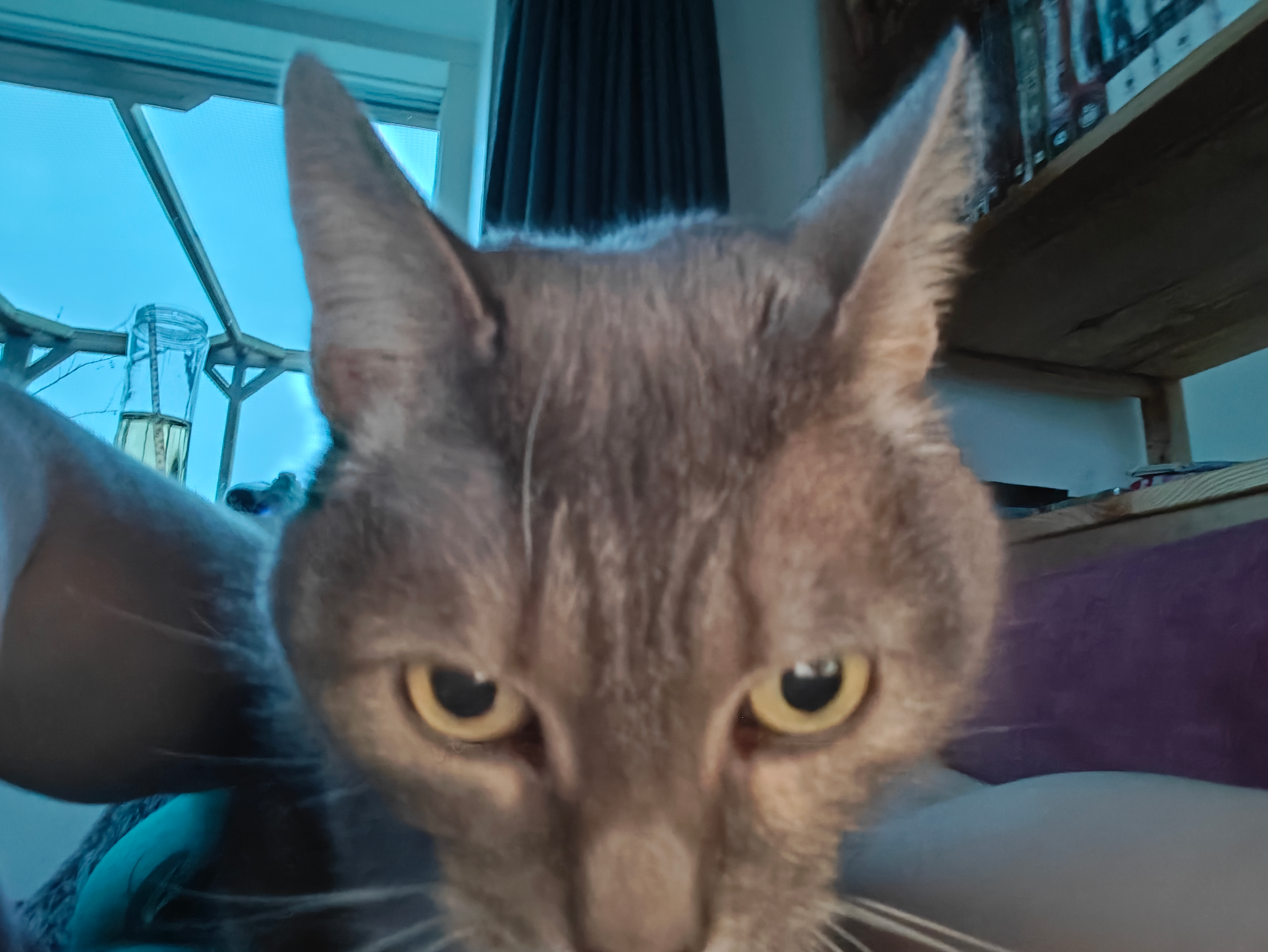 user avatar image for Charlie Valente