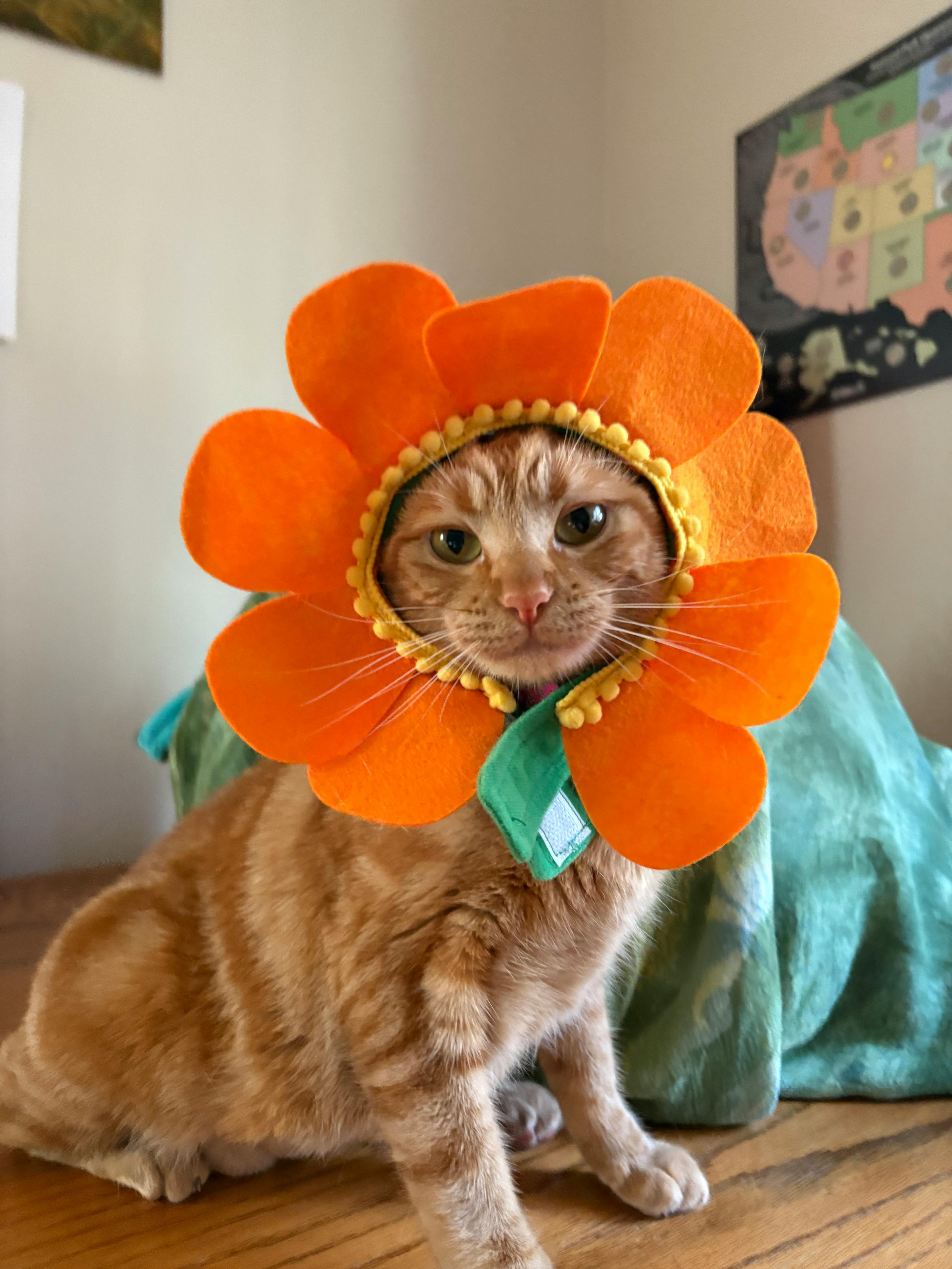 user avatar image for Jessica