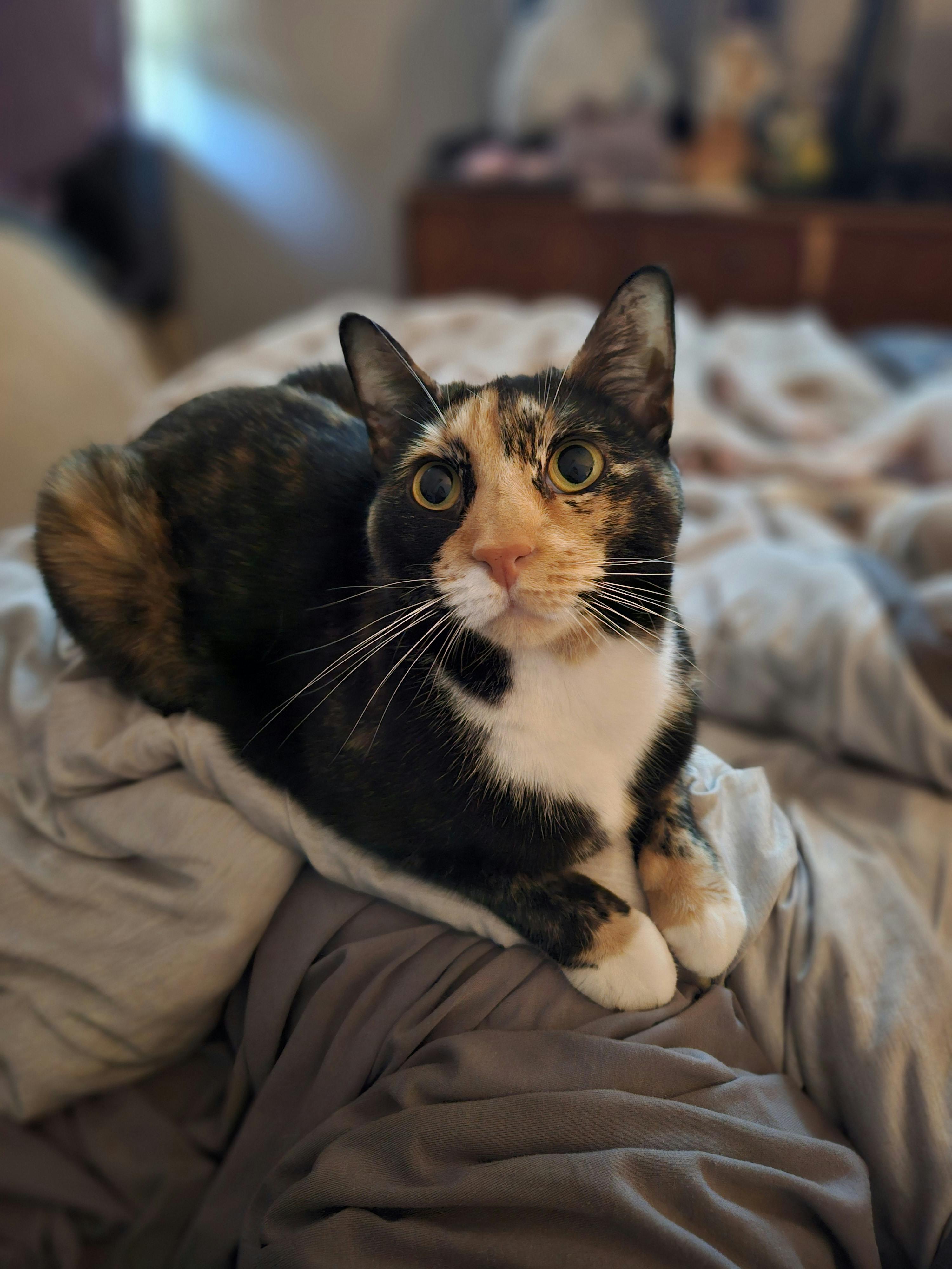 user avatar image for Victoria 