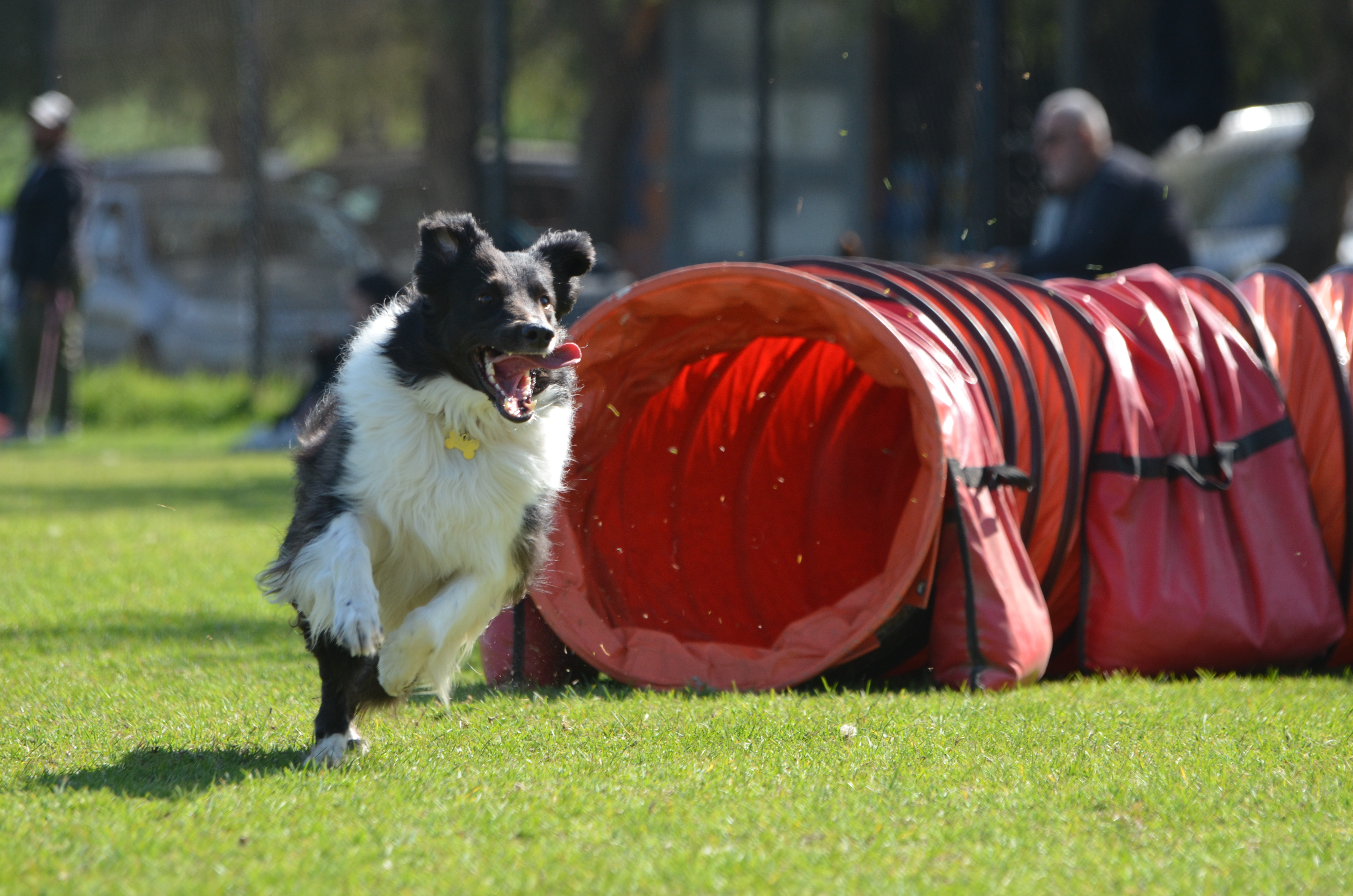 user avatar image for Sebastian