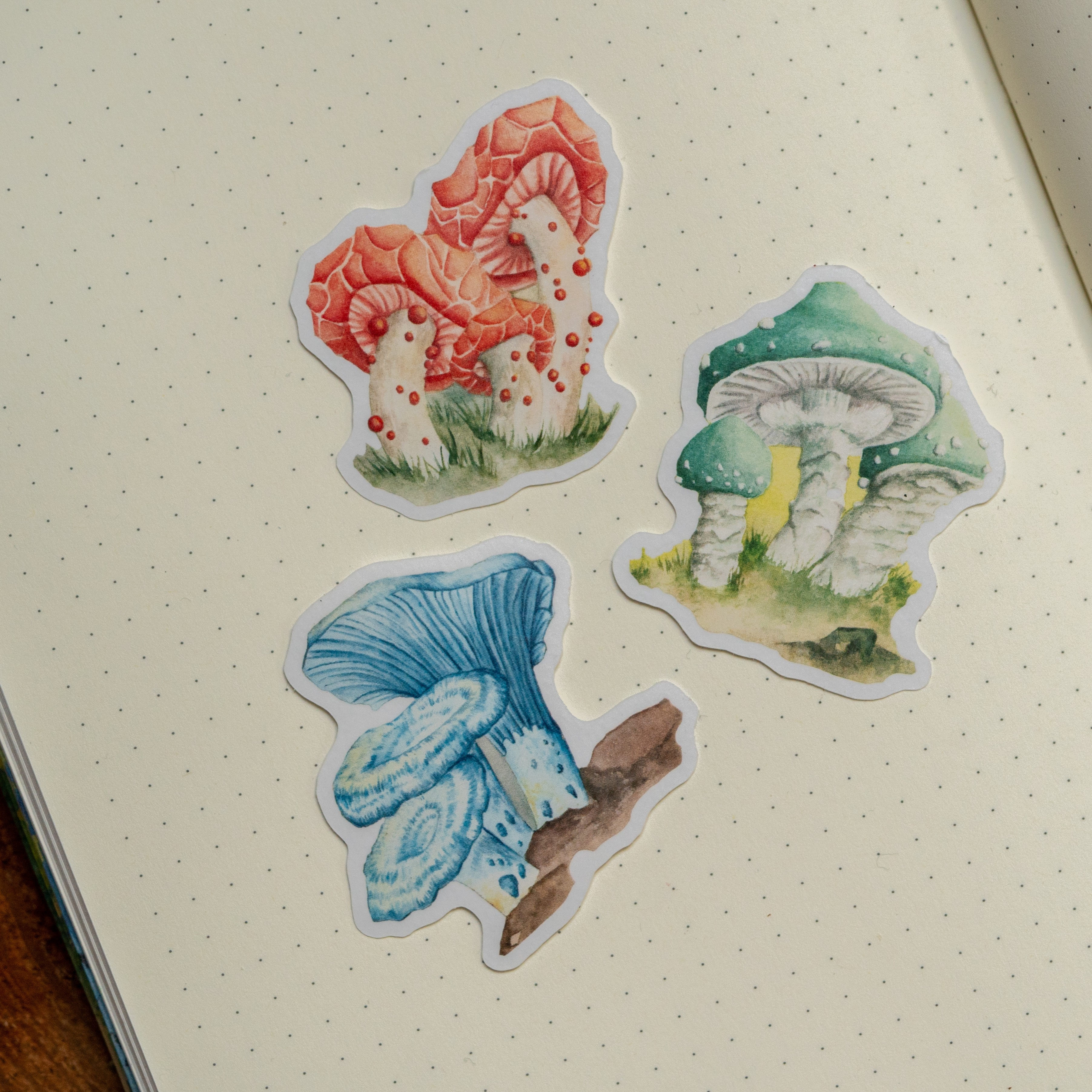 1x Washi Sticker