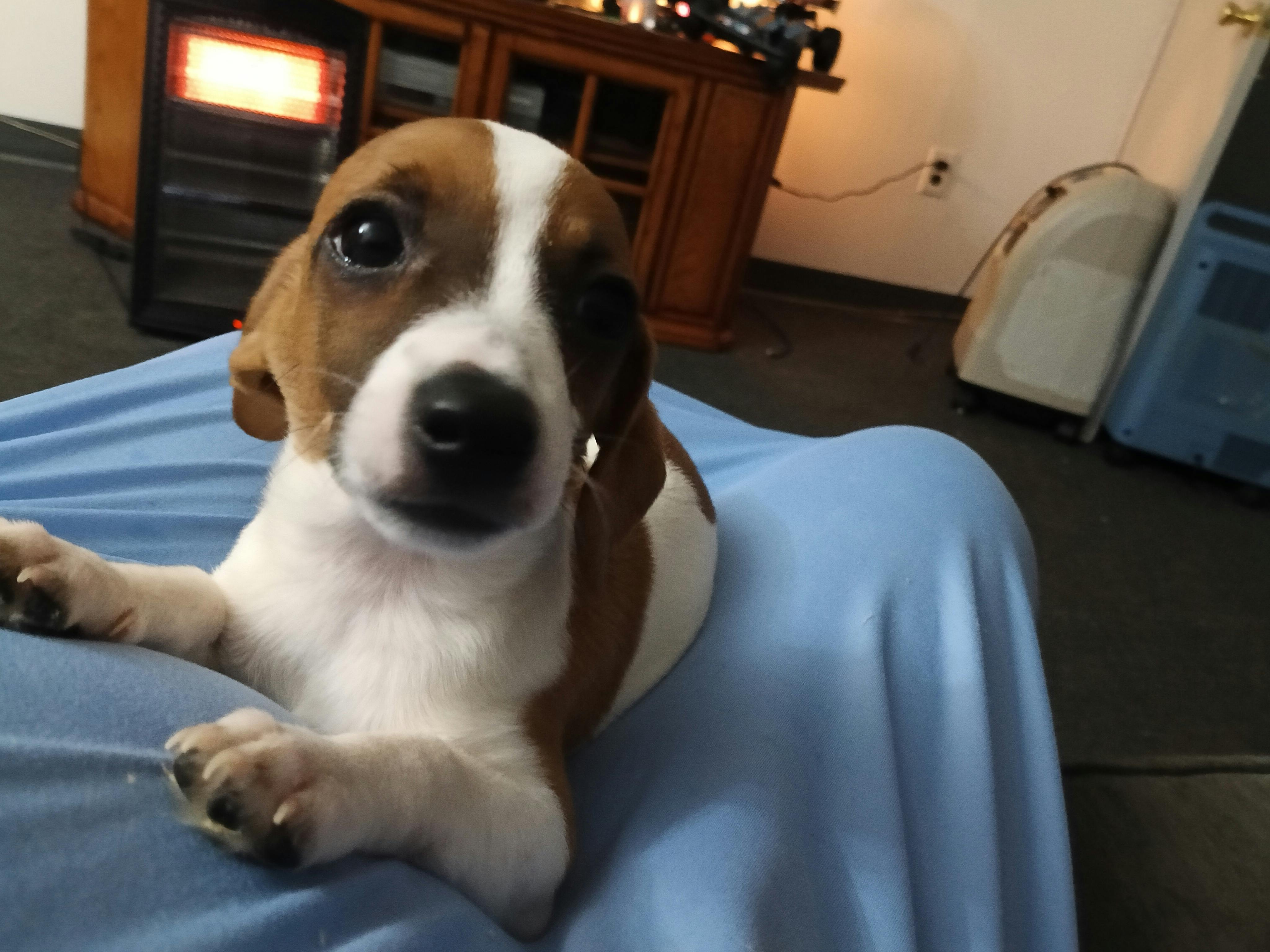 user avatar image for Rosa Christopher 