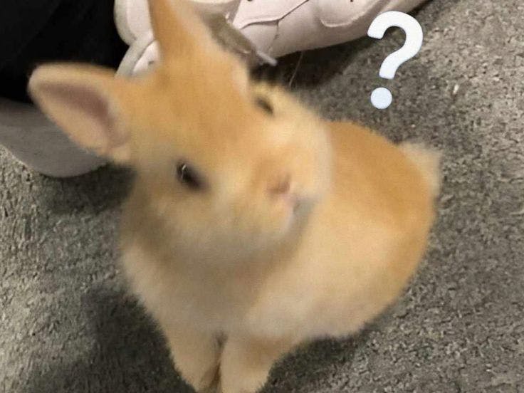 user avatar image for Michael