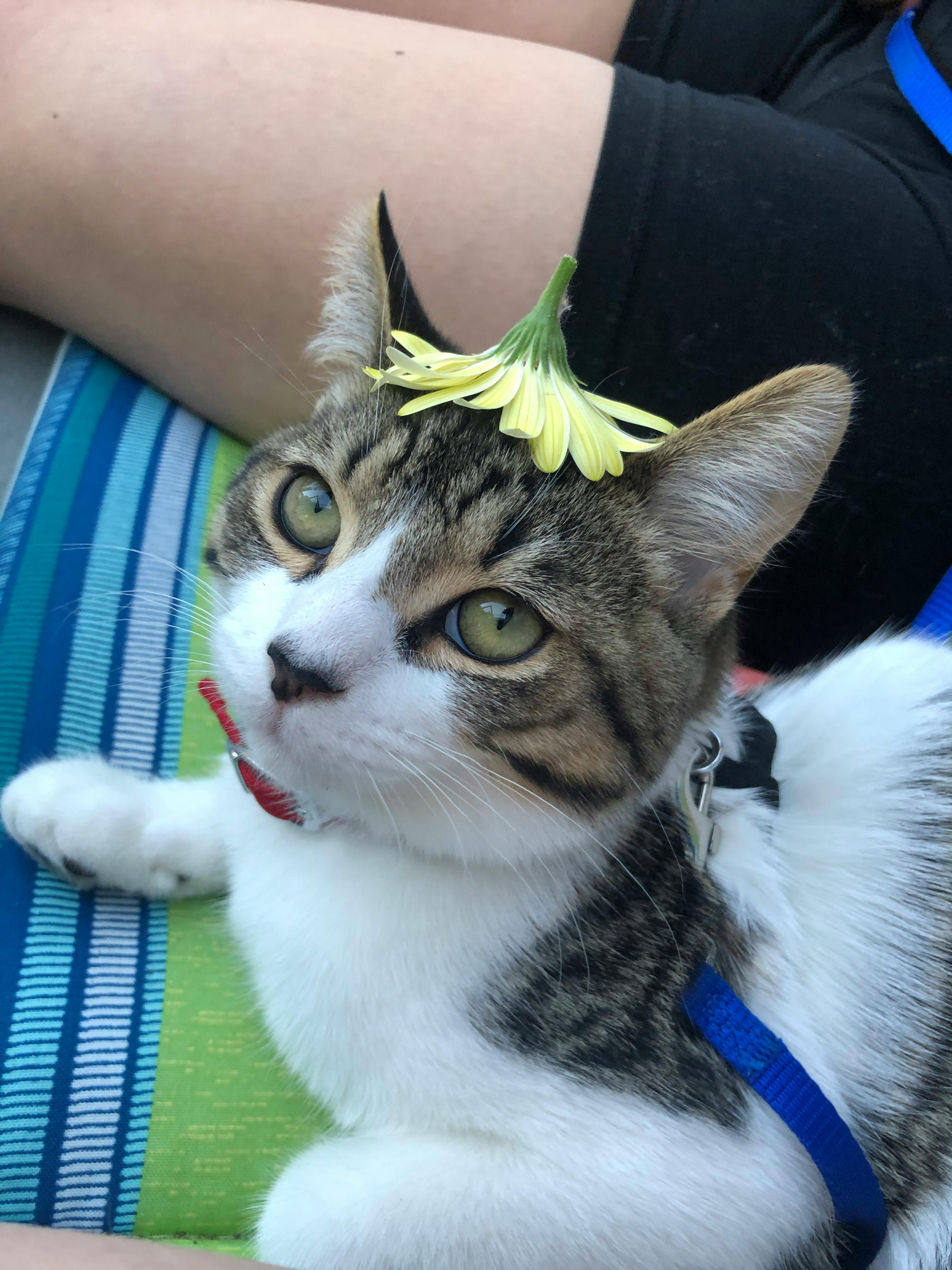 user avatar image for Danika Lopez