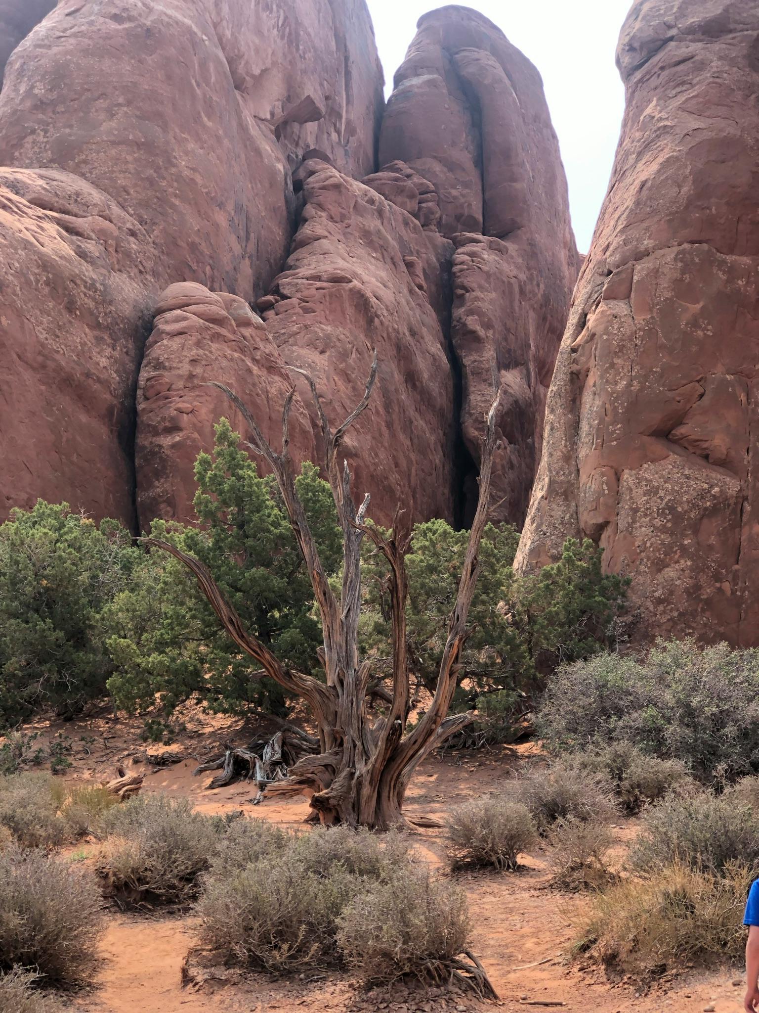 user avatar image for Ryan Sokolowski