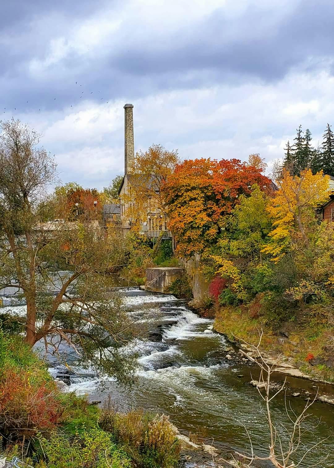 user avatar image for Sgt_Stryker