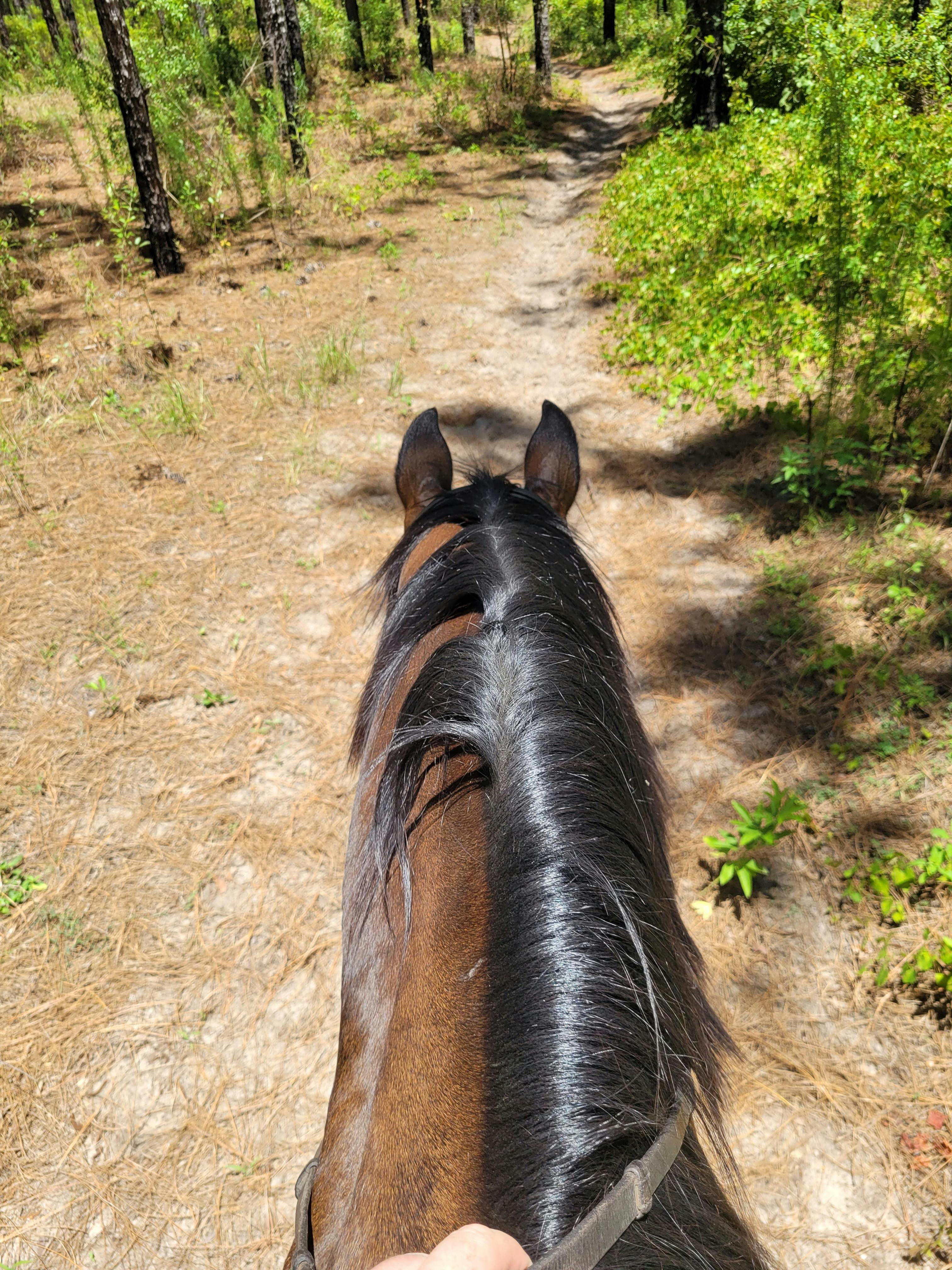 user avatar image for Maddie