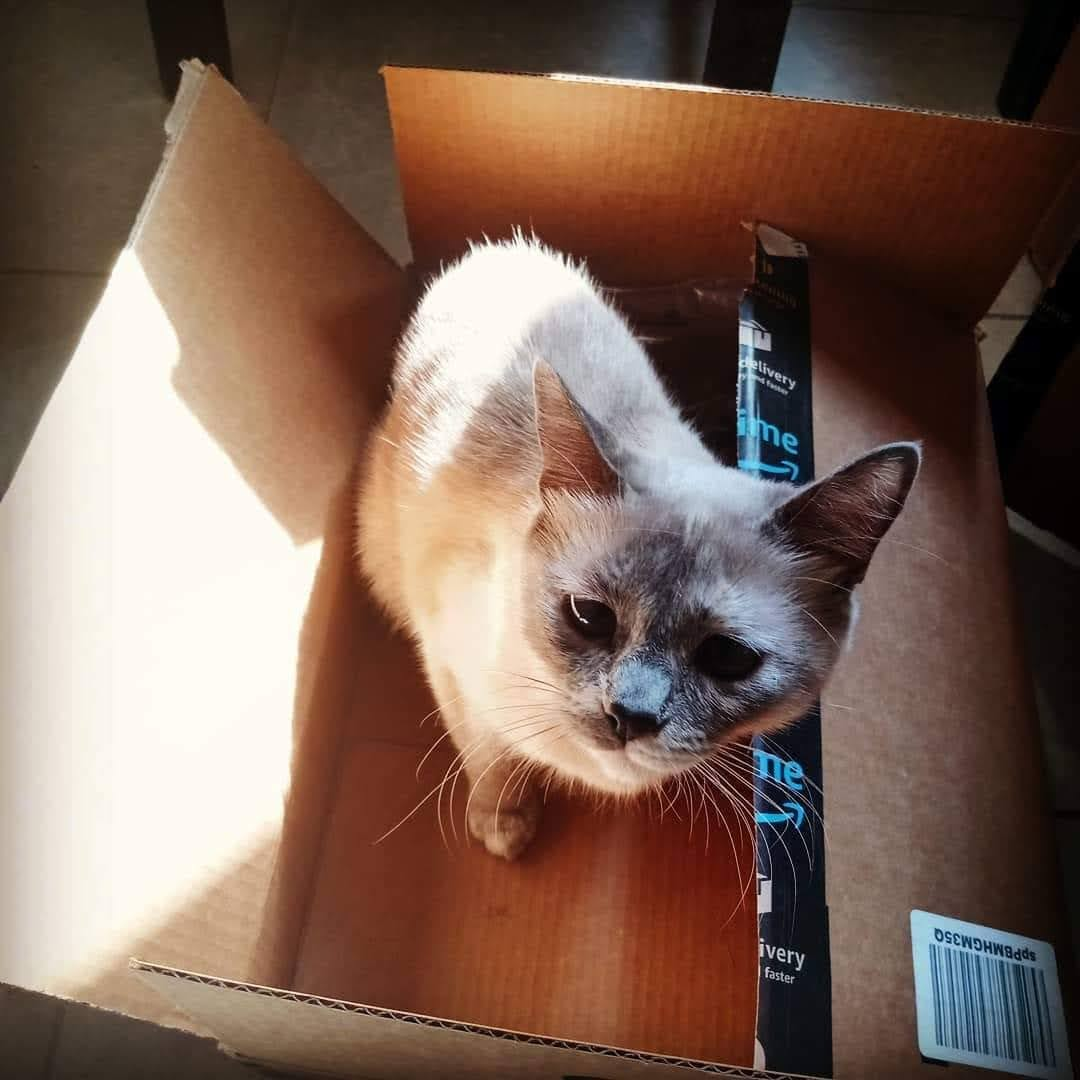 user avatar image for Iván CB