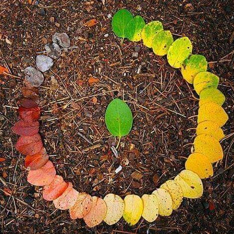 user avatar image for Giangi