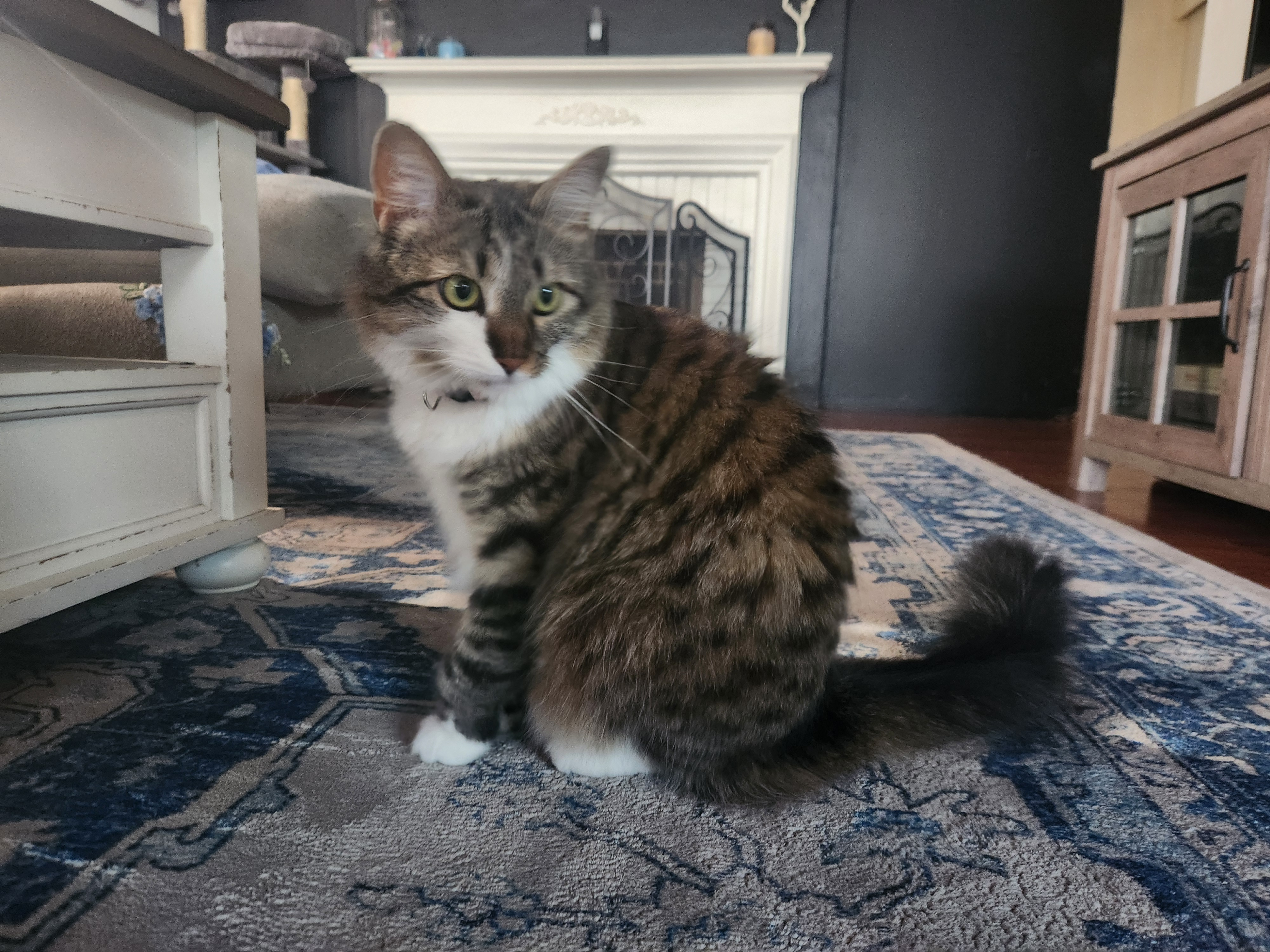 user avatar image for Elynor 