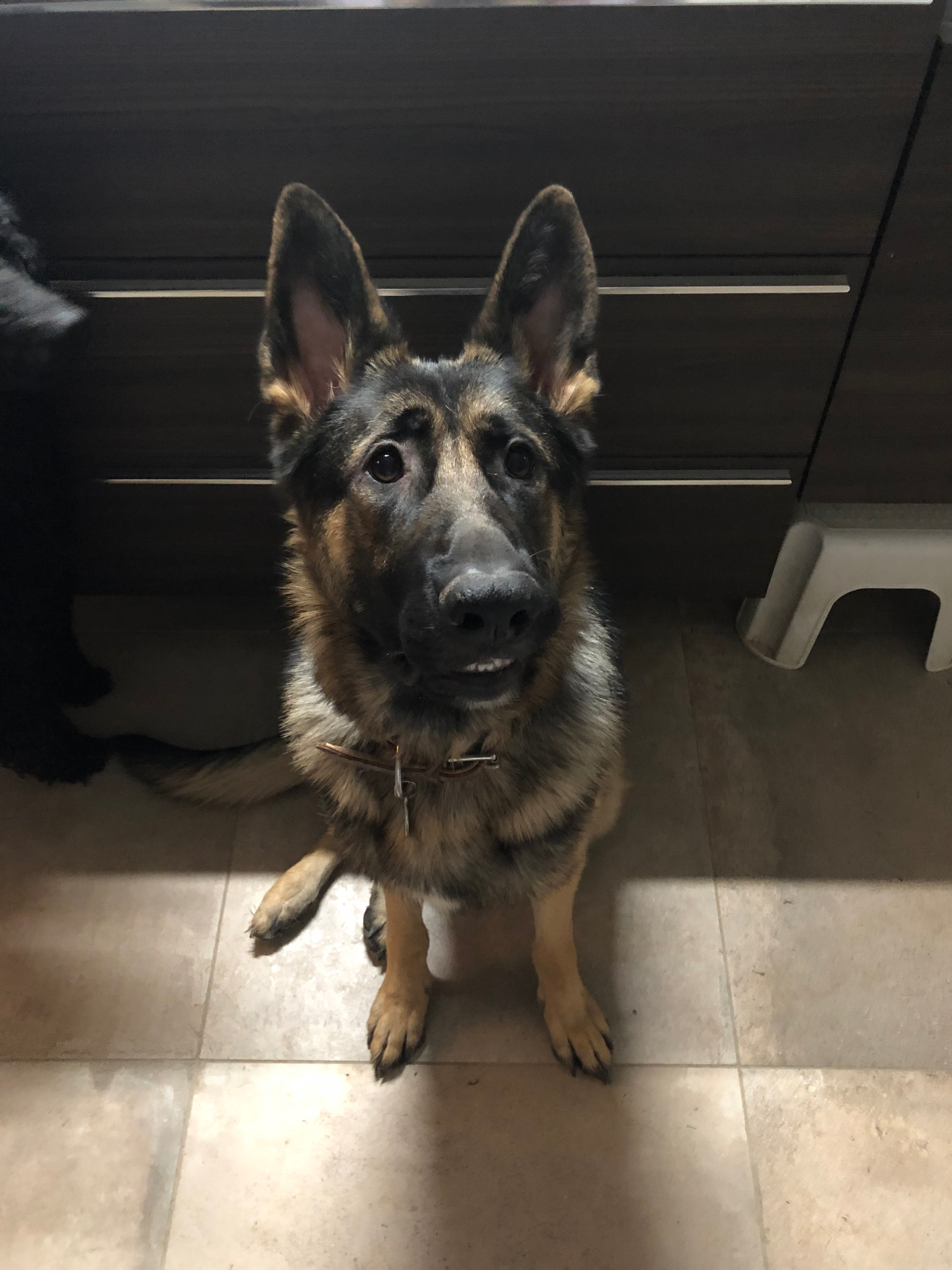 user avatar image for Nicolas S.