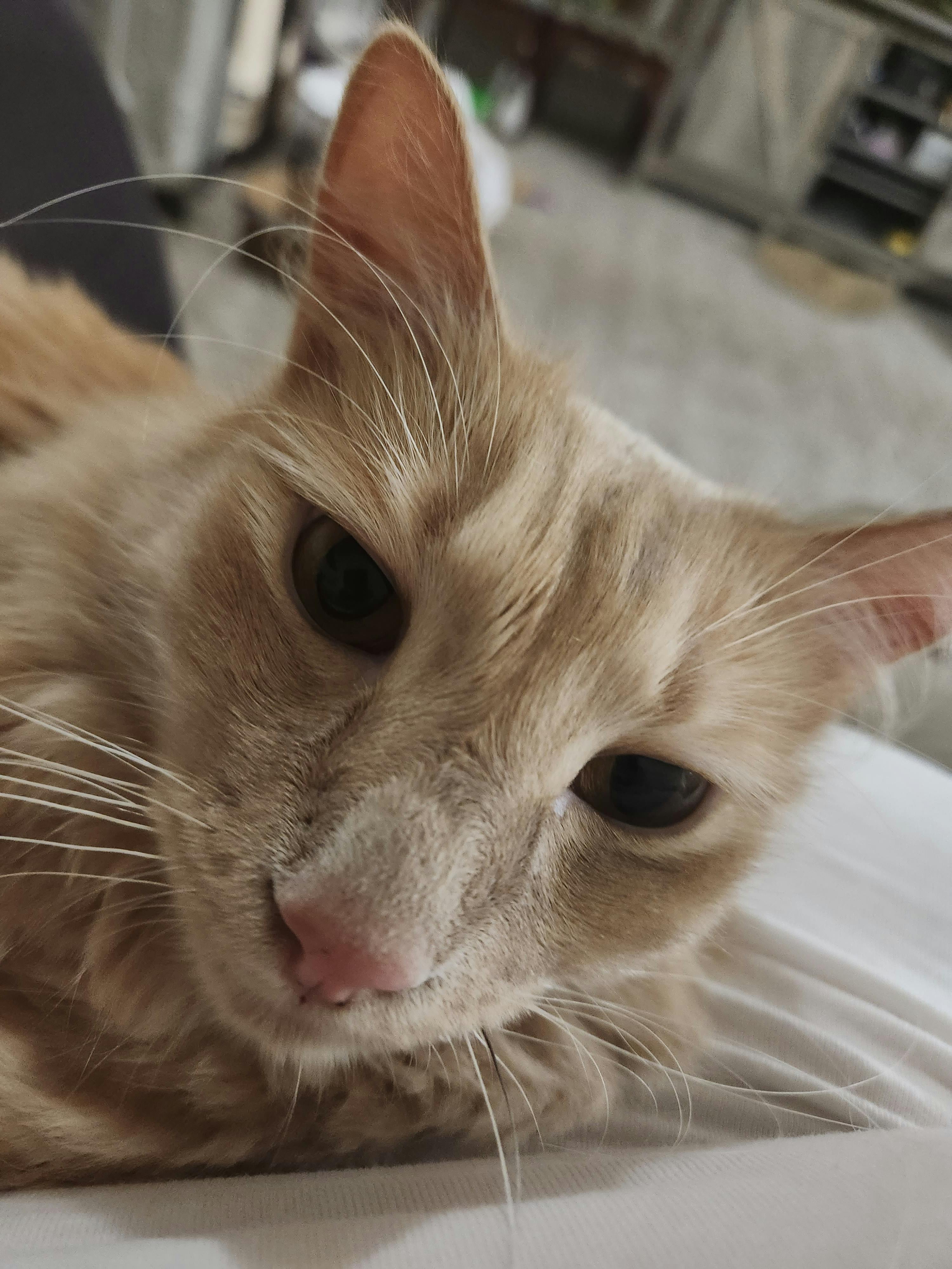 user avatar image for Breanna 