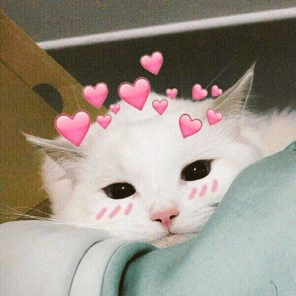 user avatar image for SkimpyMinion 