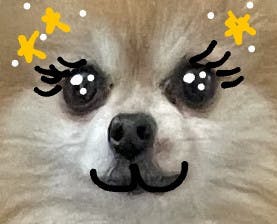 user avatar image for Jennifer