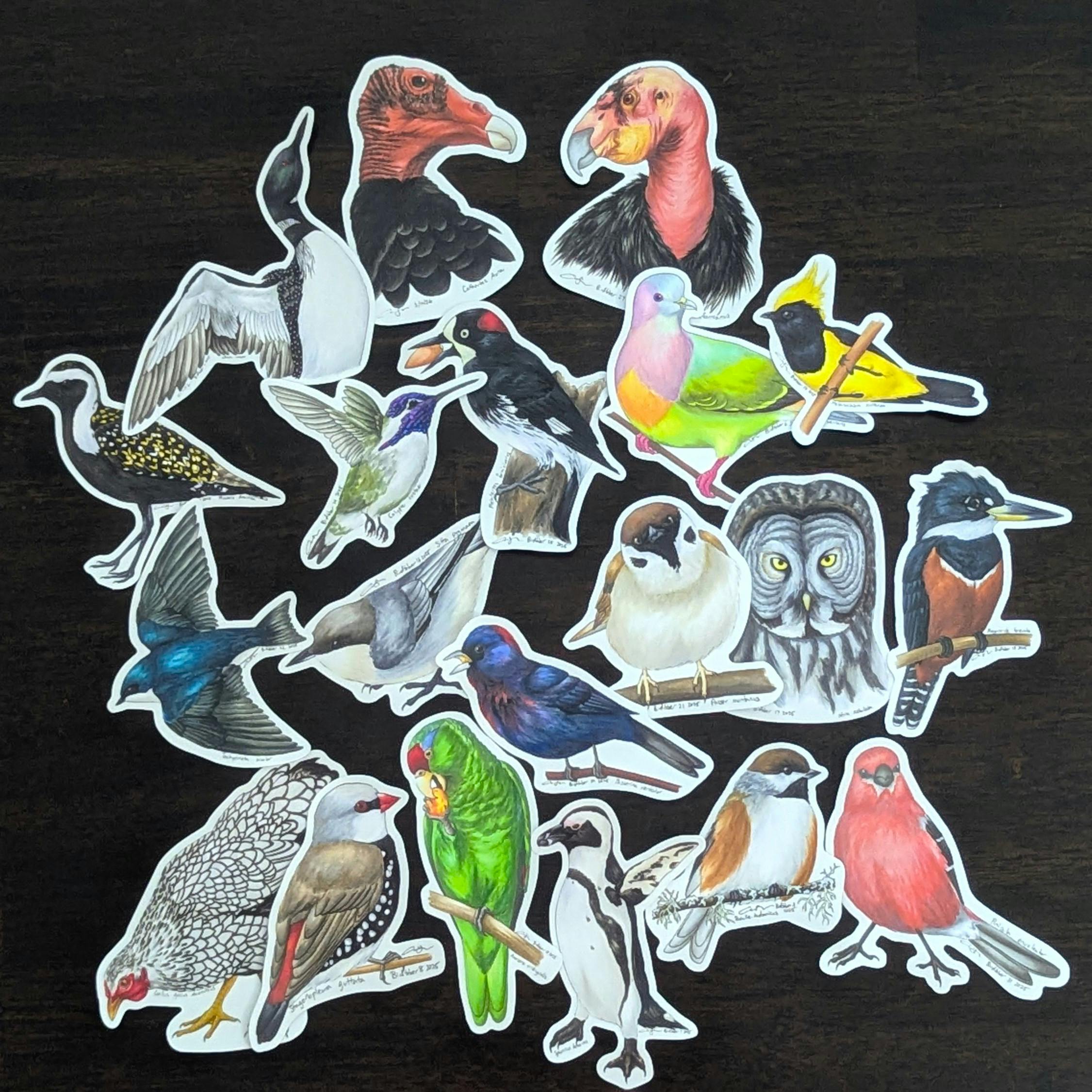 Five Birdtober 2025 Stickers