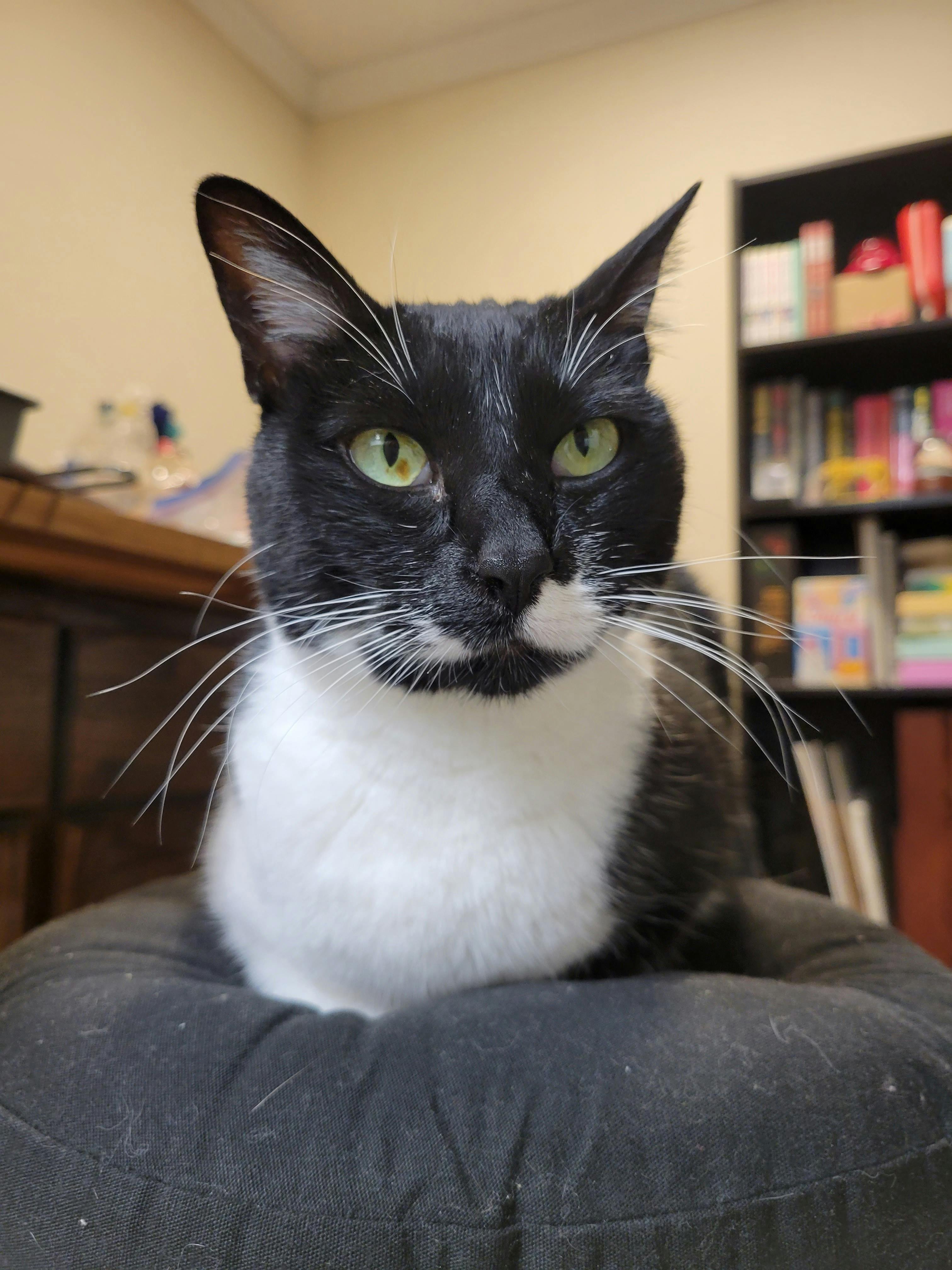 user avatar image for Krishtian