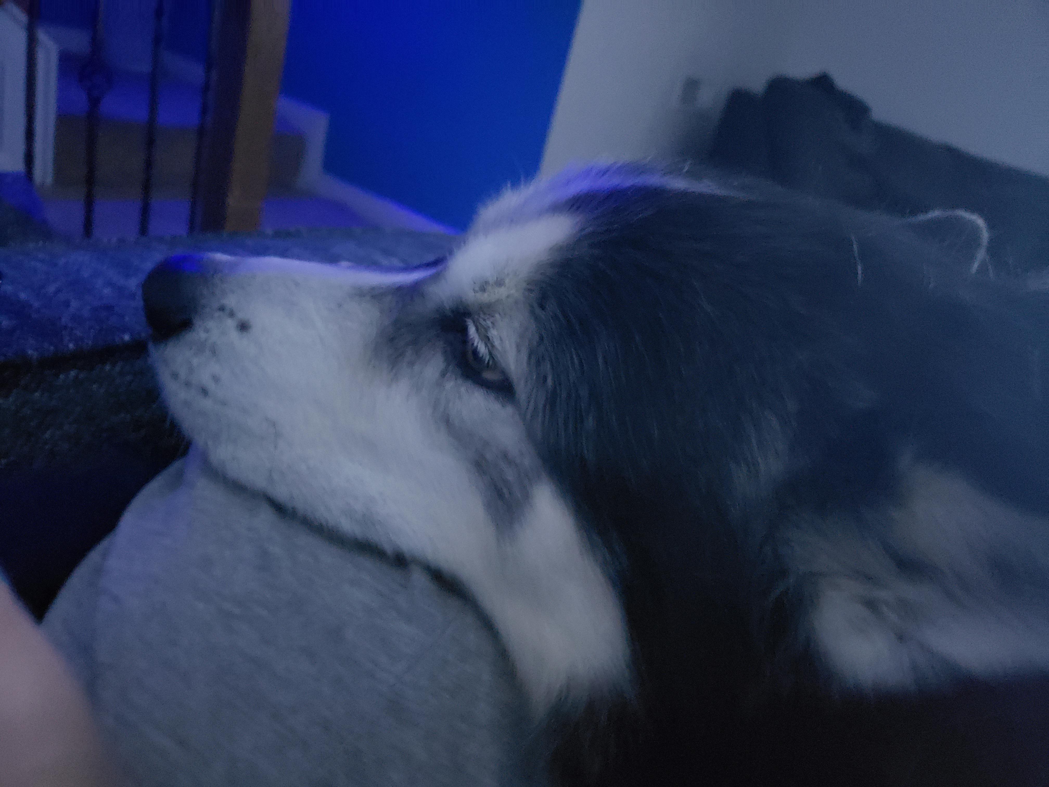 user avatar image for Jeffrey Polly