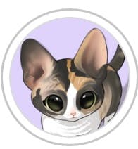 user avatar image for Shaynachu_art