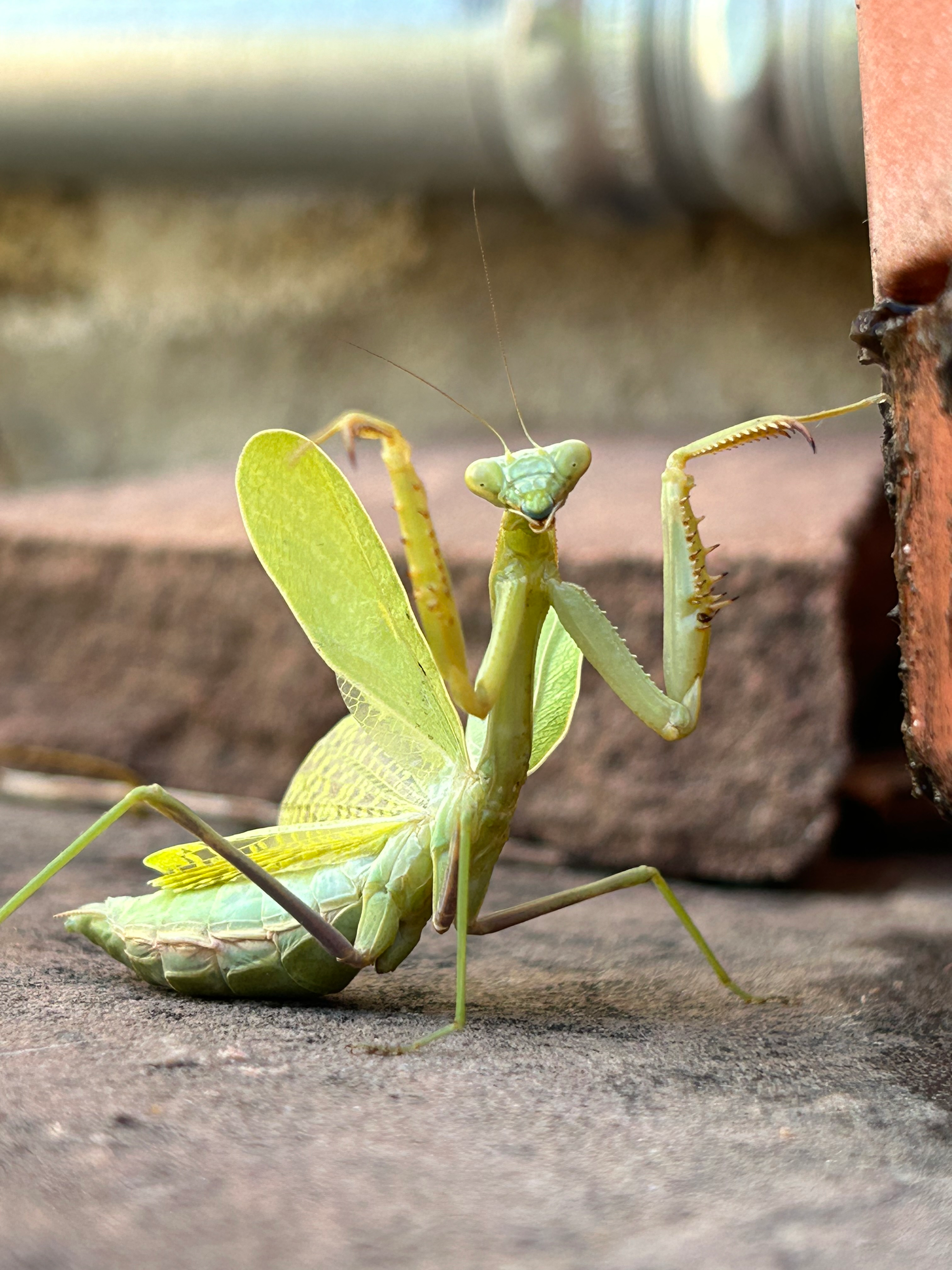 user avatar image for Anna