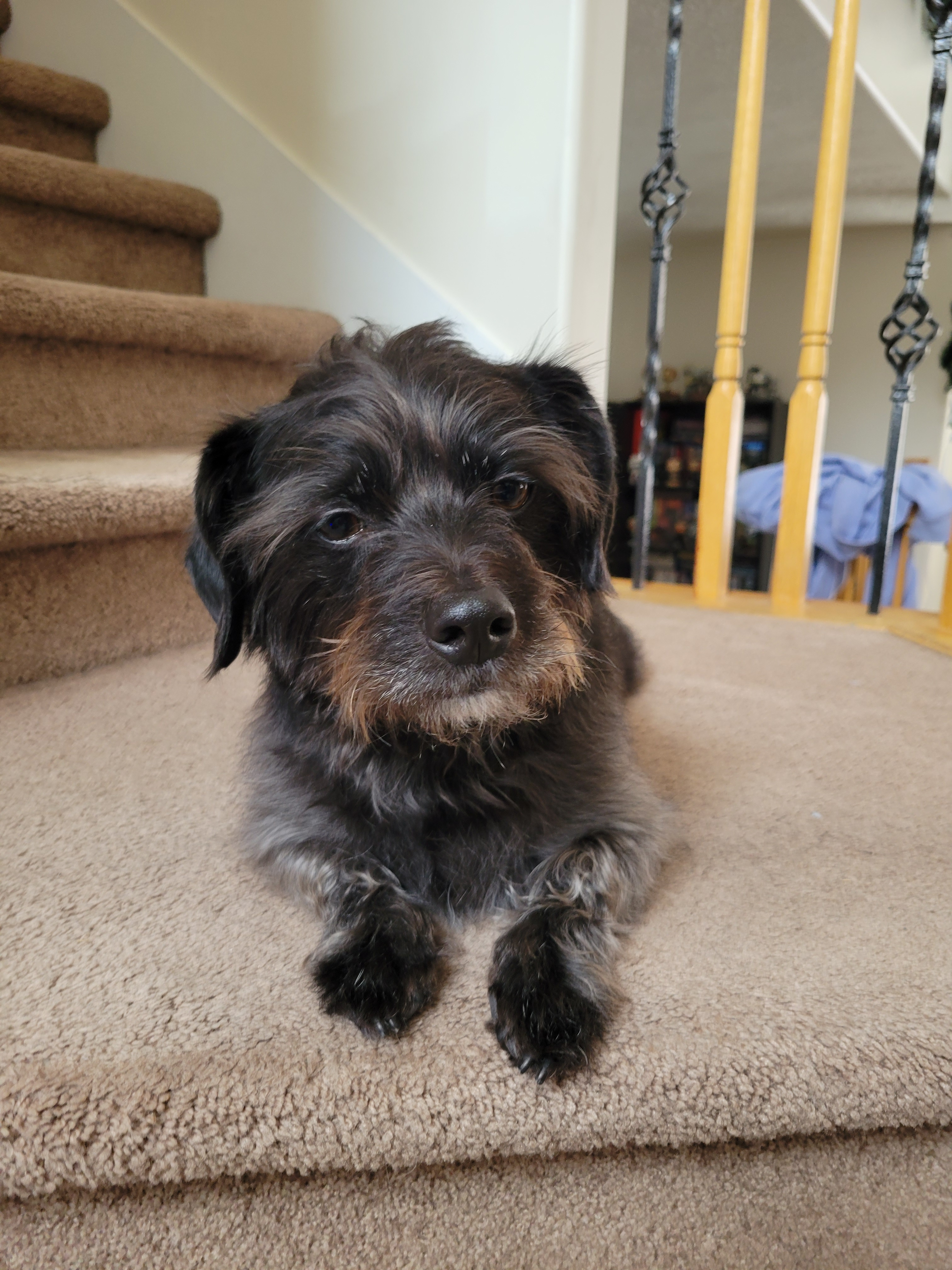 user avatar image for KelseyTL