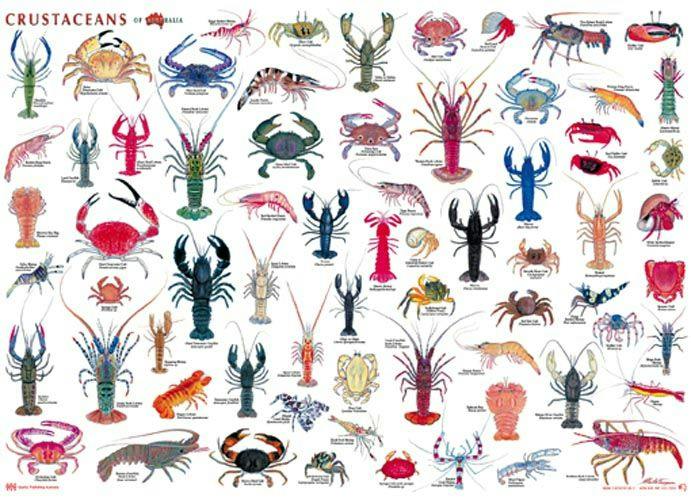 Crustacean (Dealers choice)
