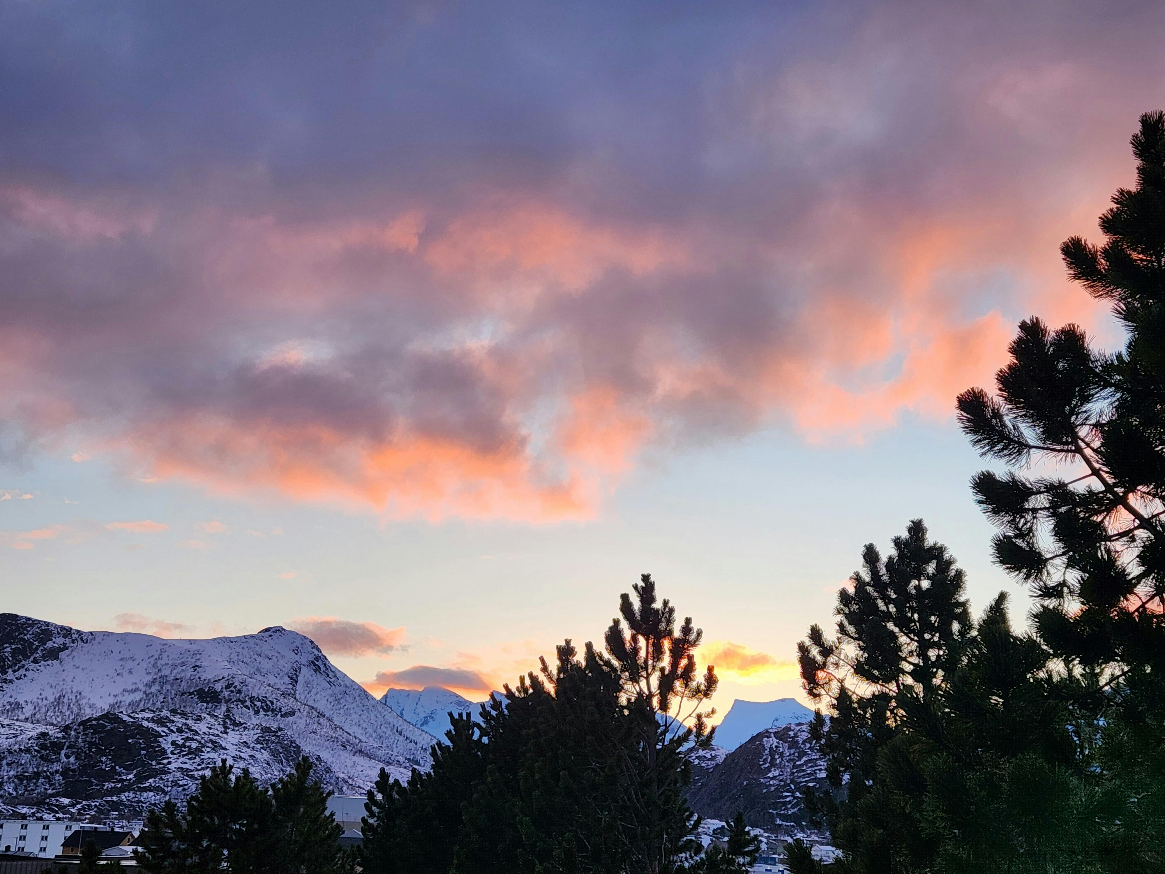 user avatar image for Theophilus