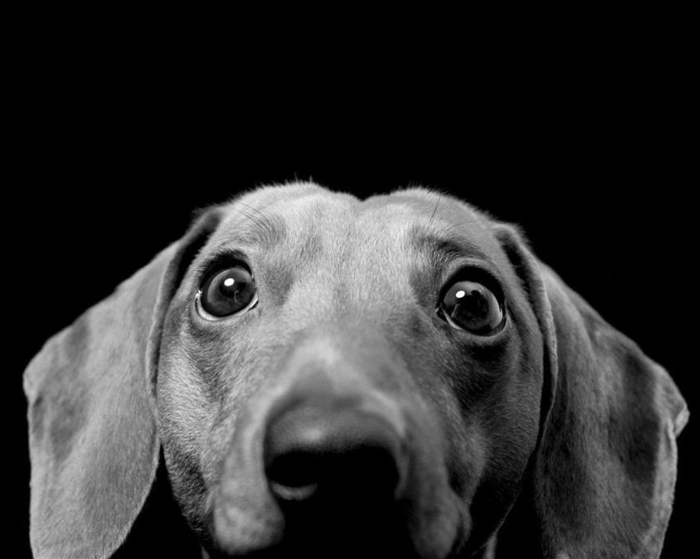 user avatar image for Nihal