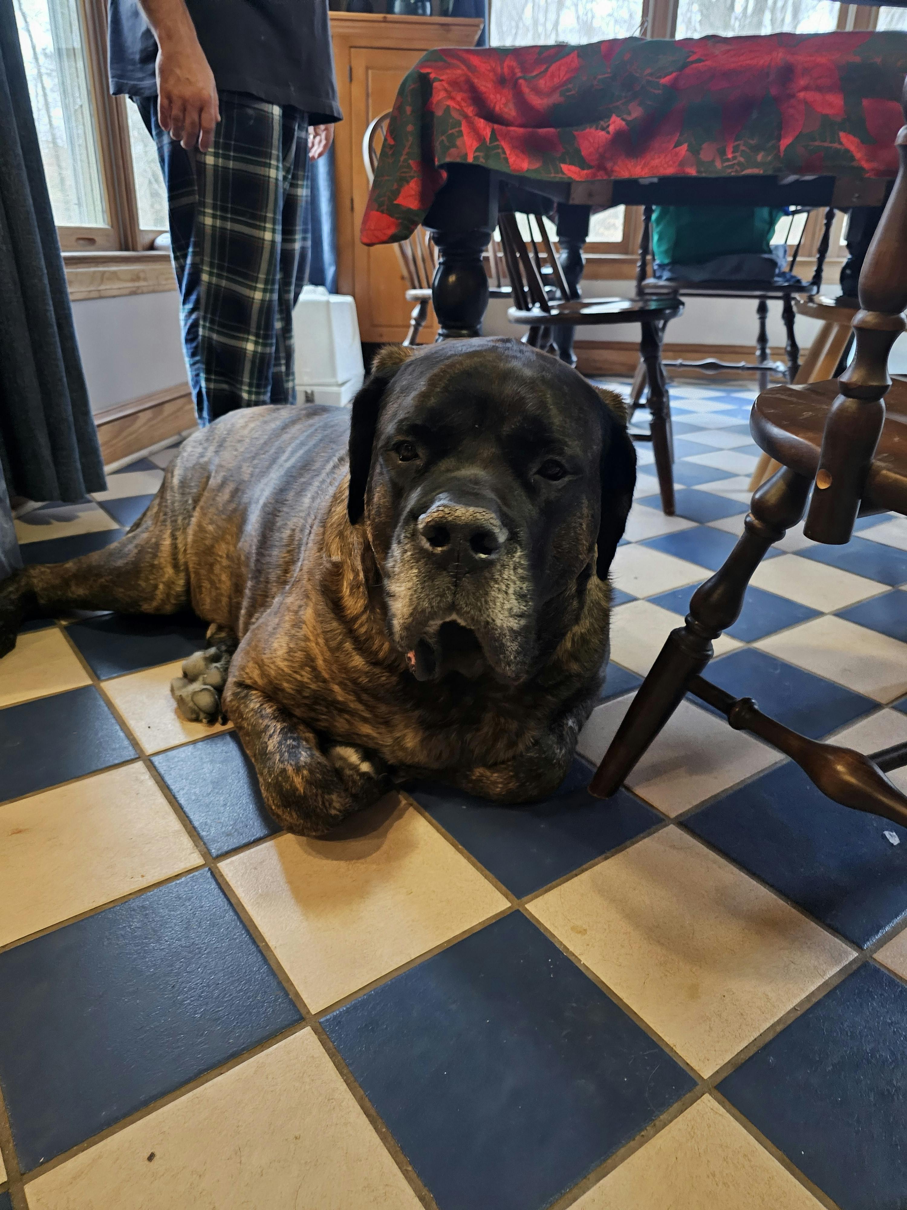 user avatar image for DavidBlonn