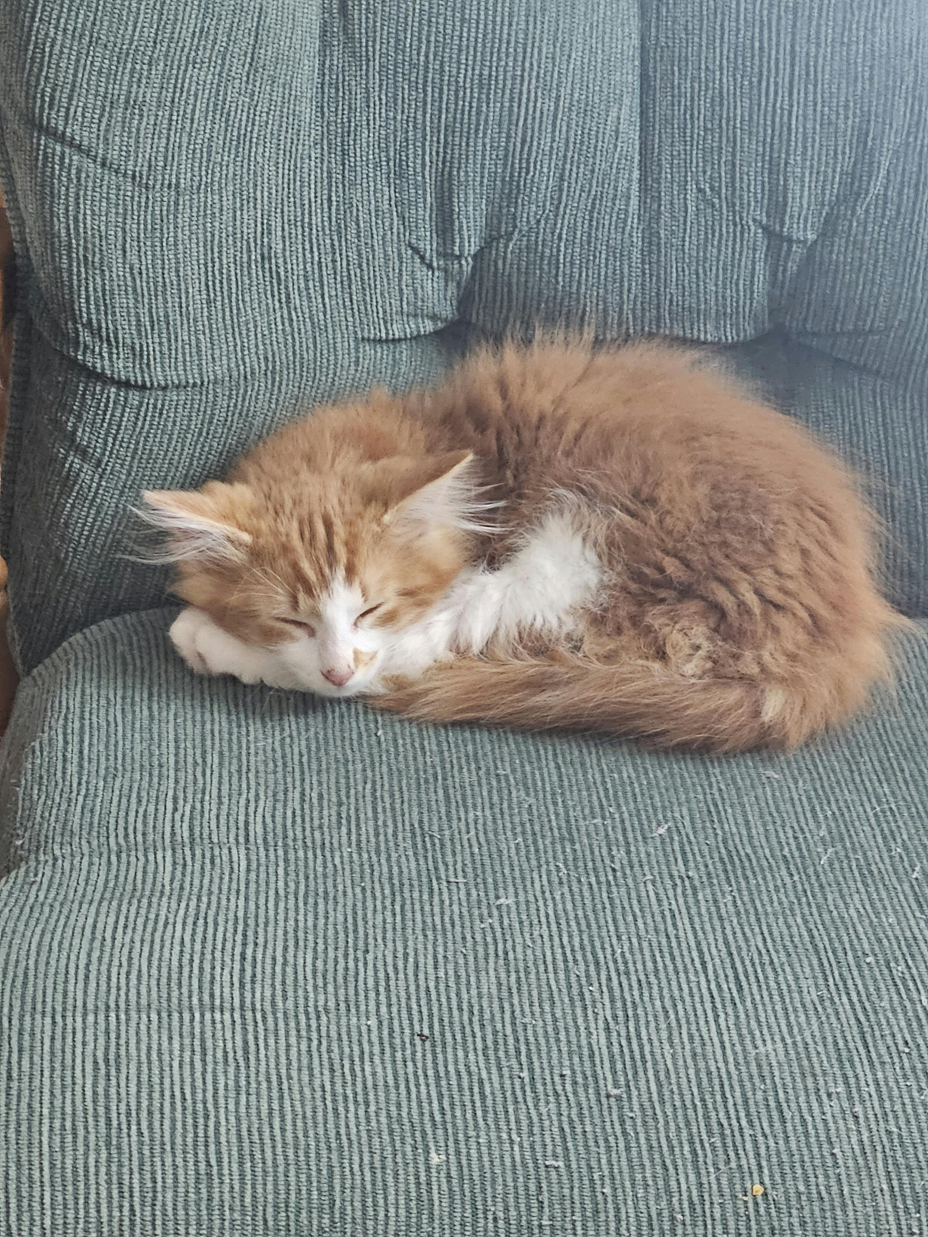 user avatar image for Sarah 