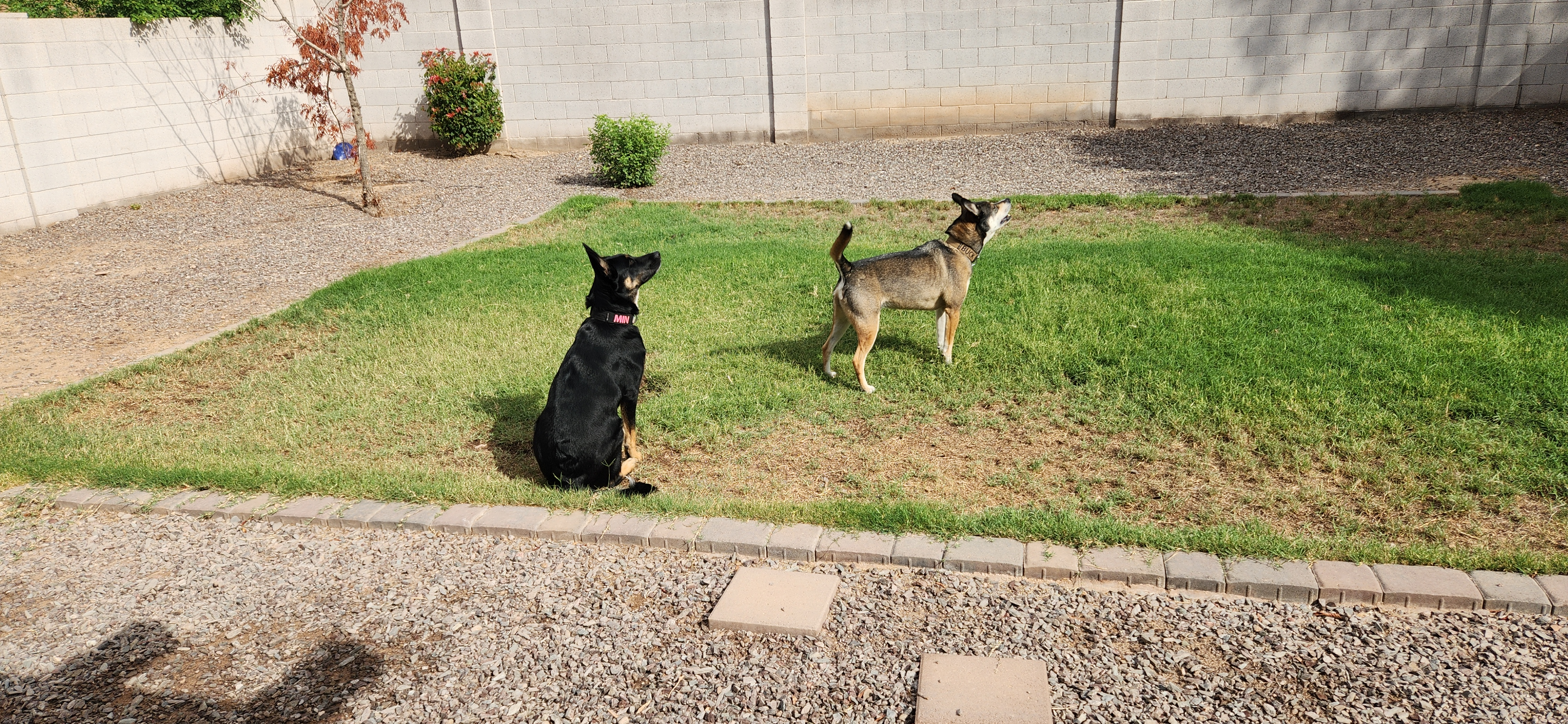 user avatar image for Josiah