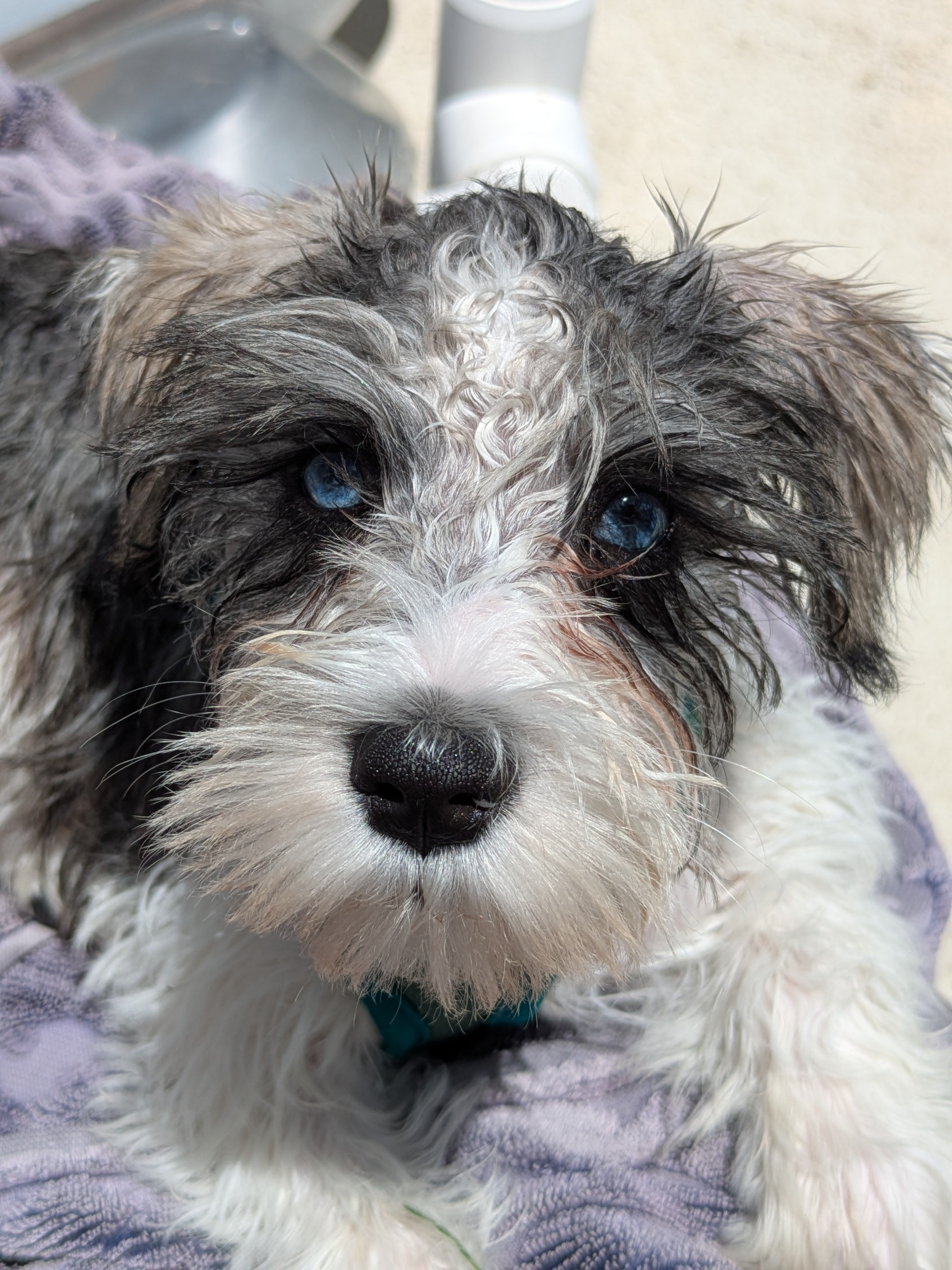 user avatar image for Ava nowicki